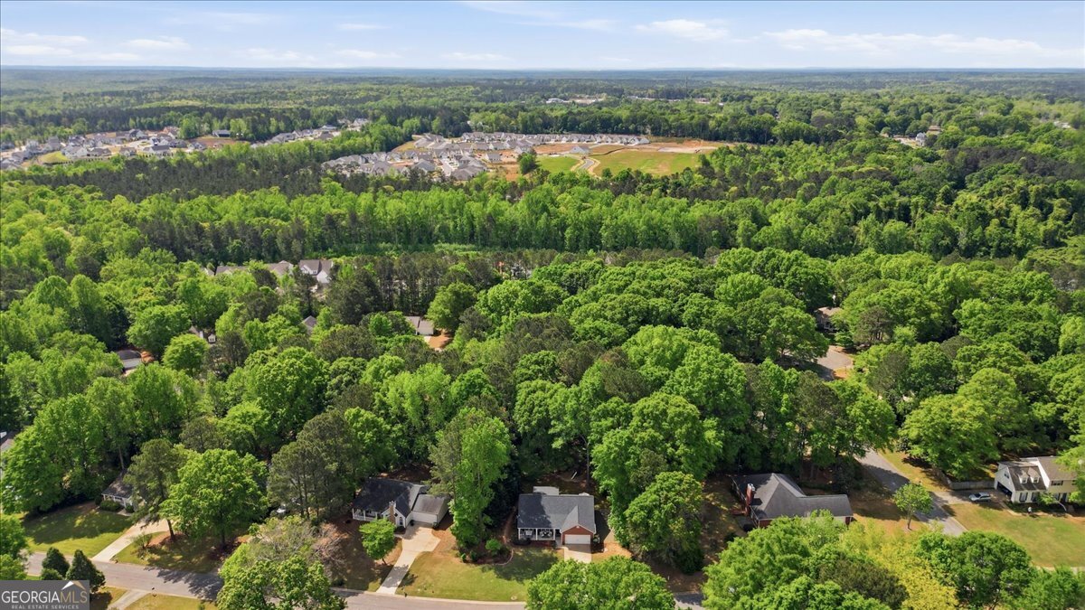 151 Piedmont Drive Senoia GA 30276