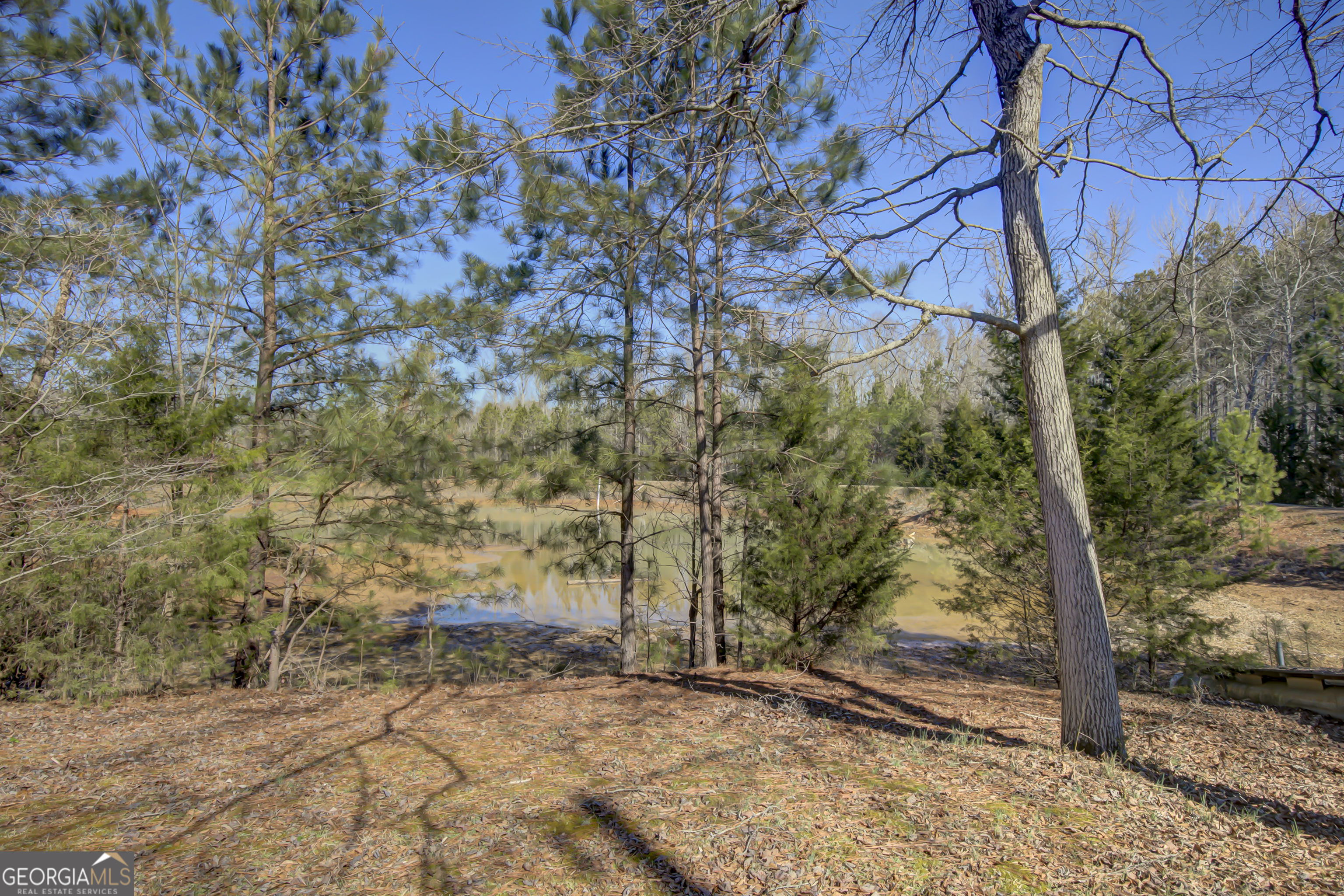 377 Dogwood Trail Tyrone GA 30290