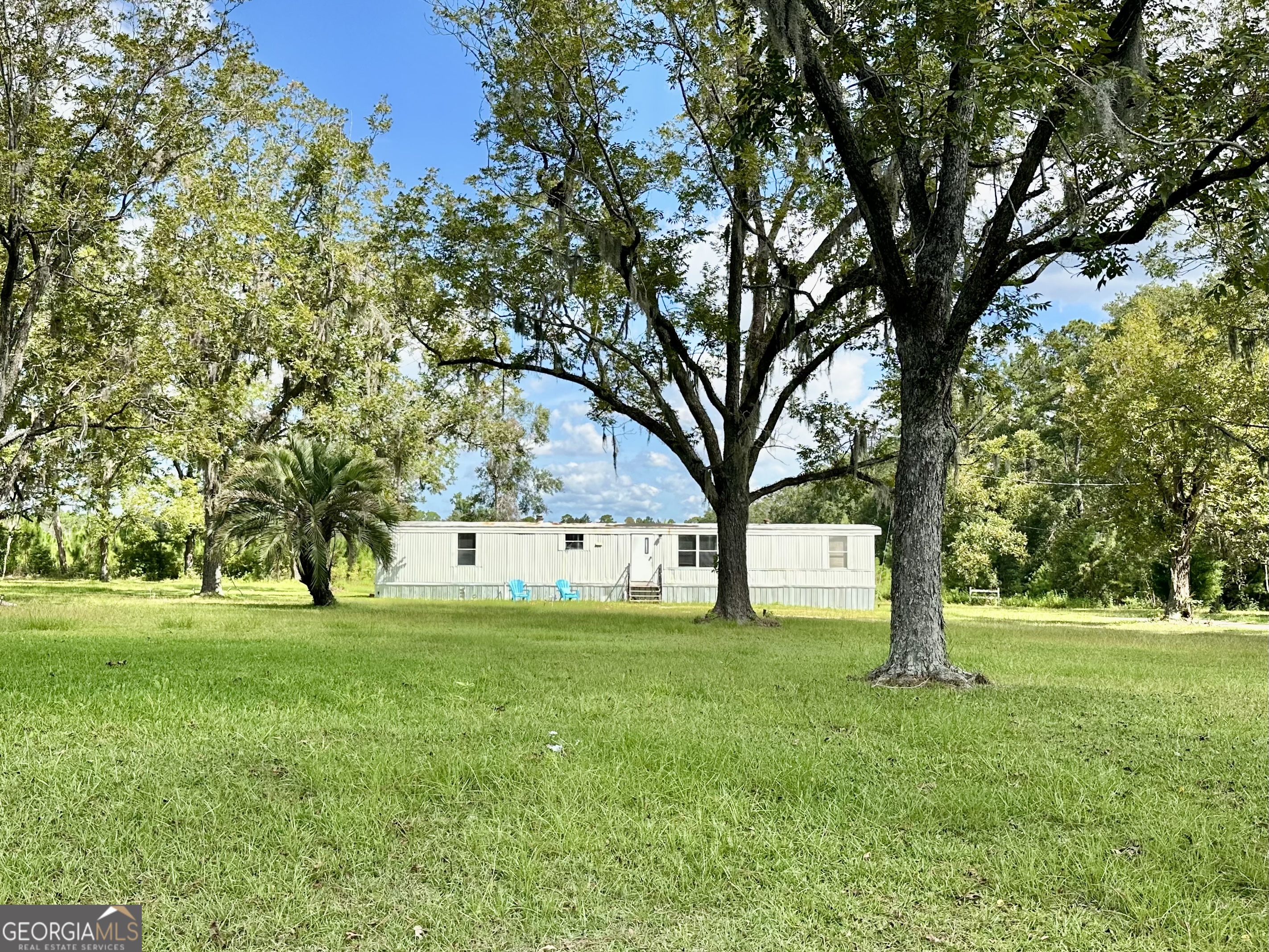 3360 Strickland Avenue Extension Blackshear GA 31516
