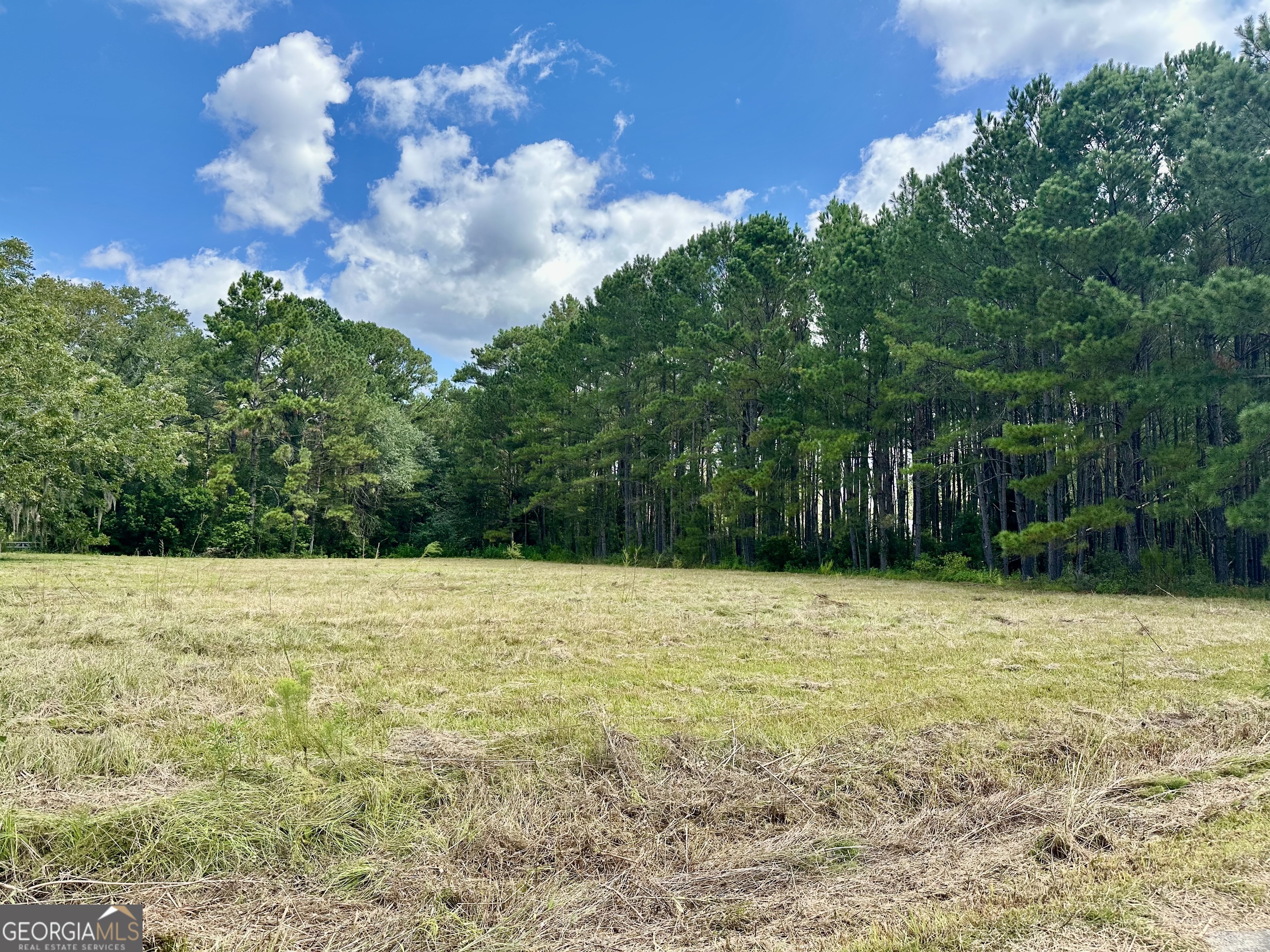 3360 Strickland Avenue Extension Blackshear GA 31516