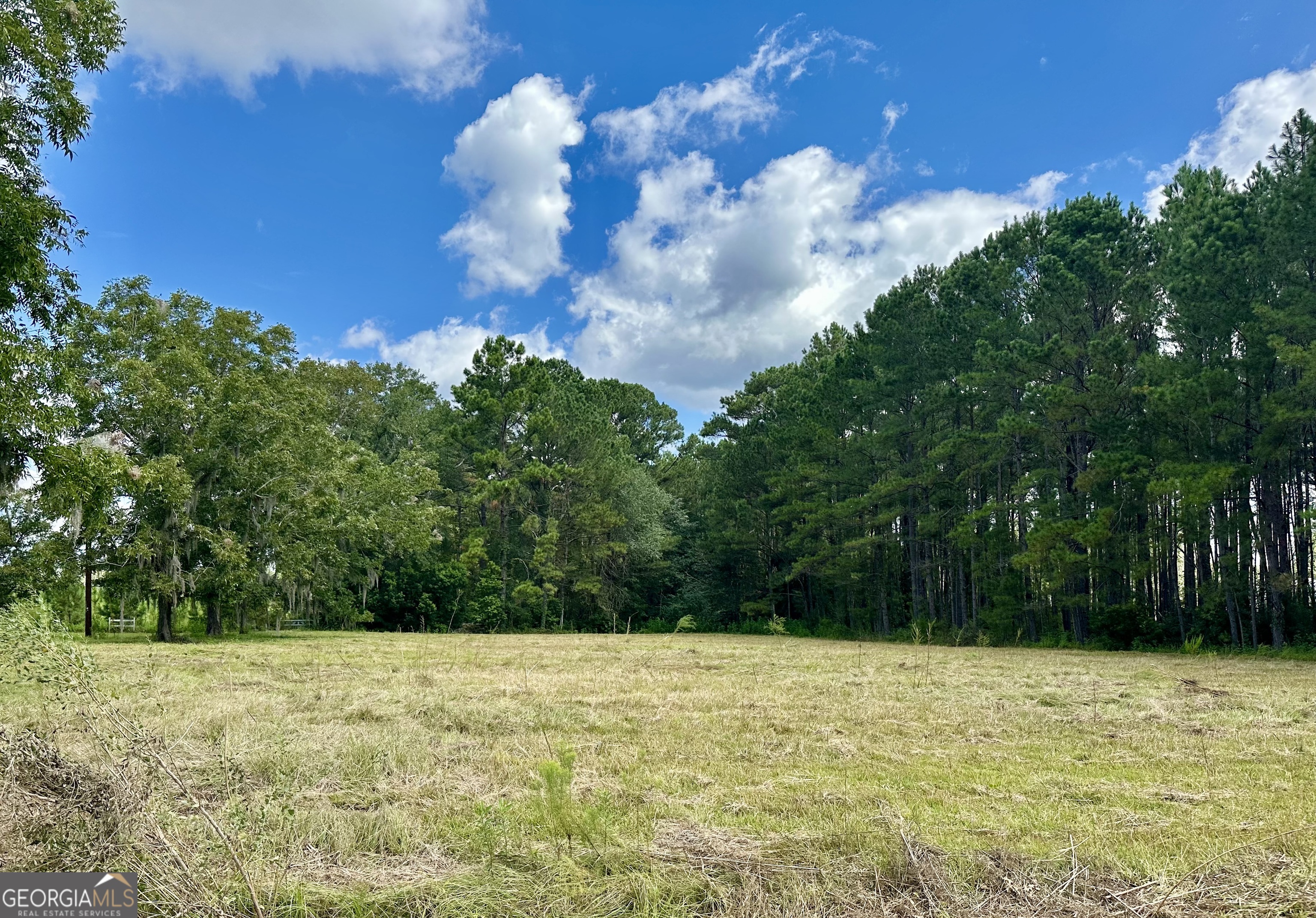 3360 Strickland Avenue Extension Blackshear GA 31516