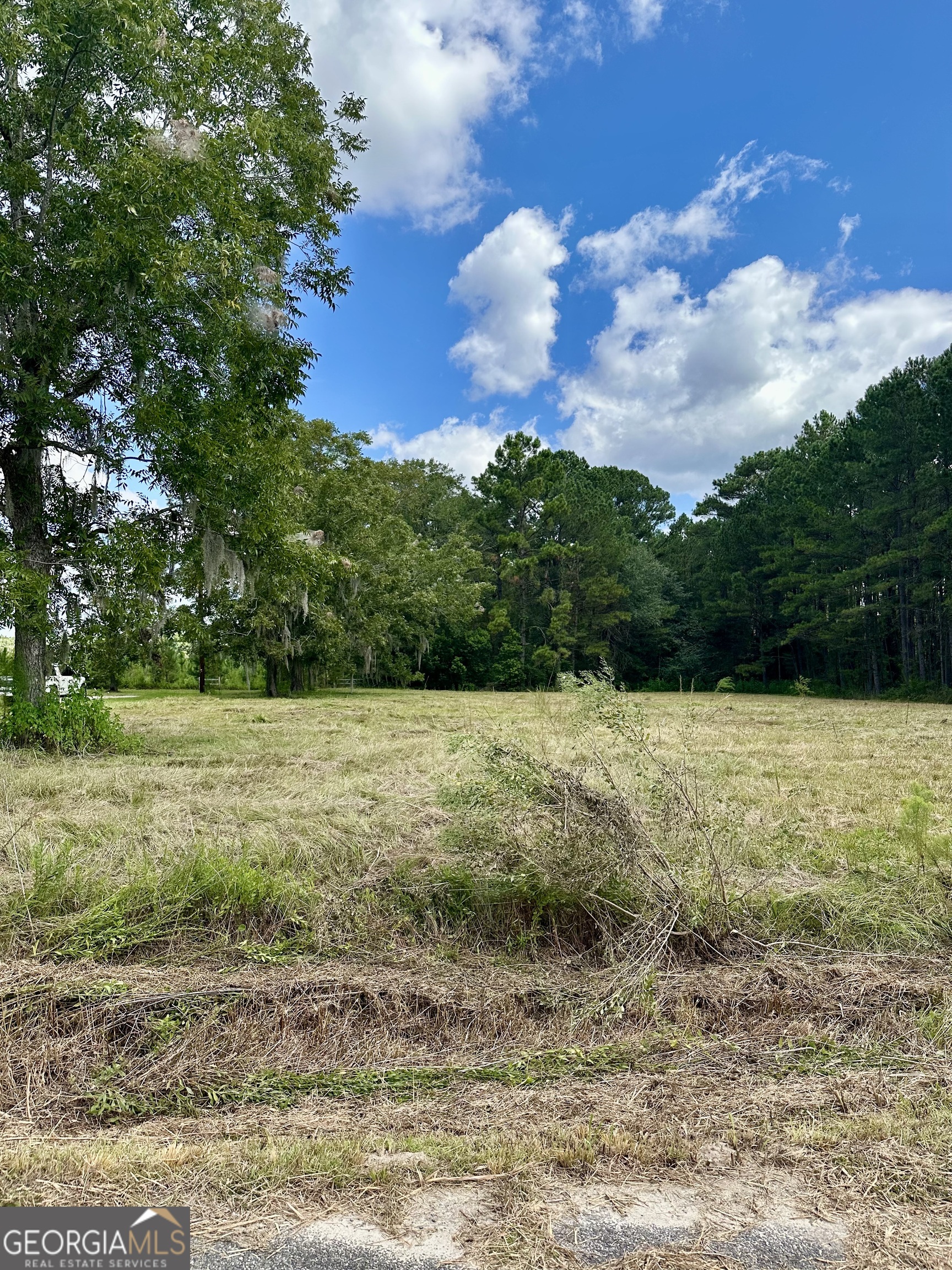 3360 Strickland Avenue Extension Blackshear GA 31516