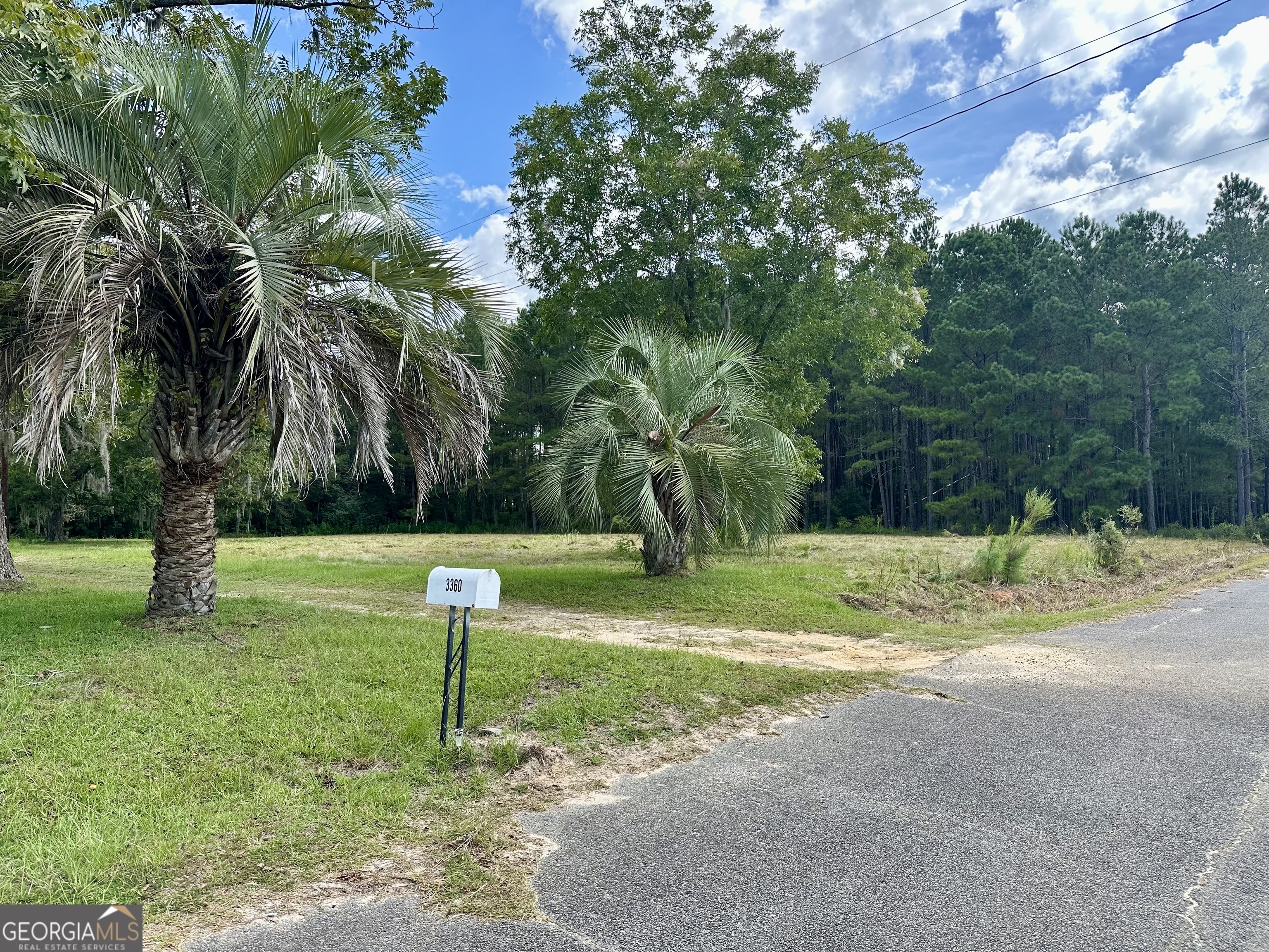 3360 Strickland Avenue Extension Blackshear GA 31516