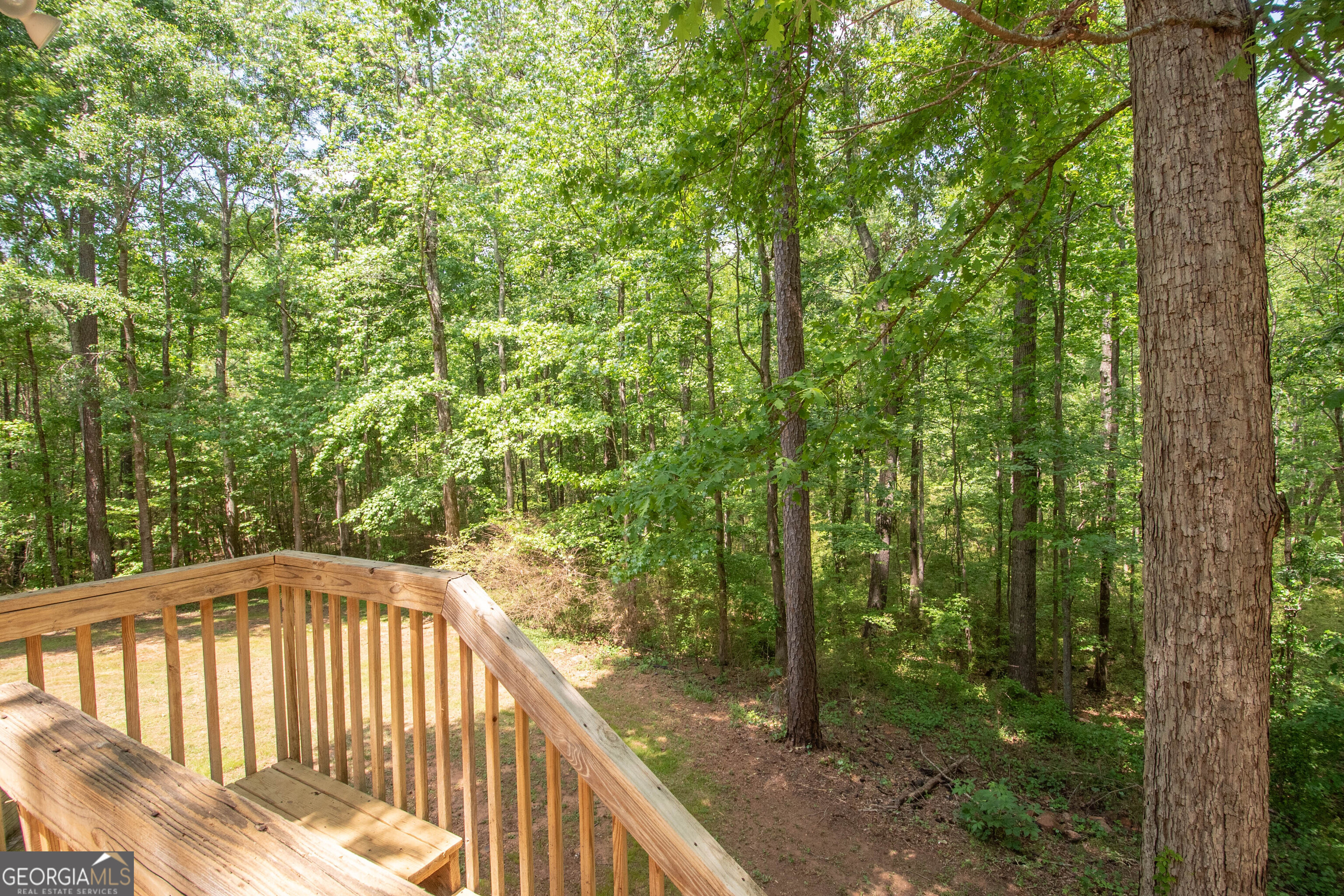 80 Walton Place Drive Newnan GA 30263