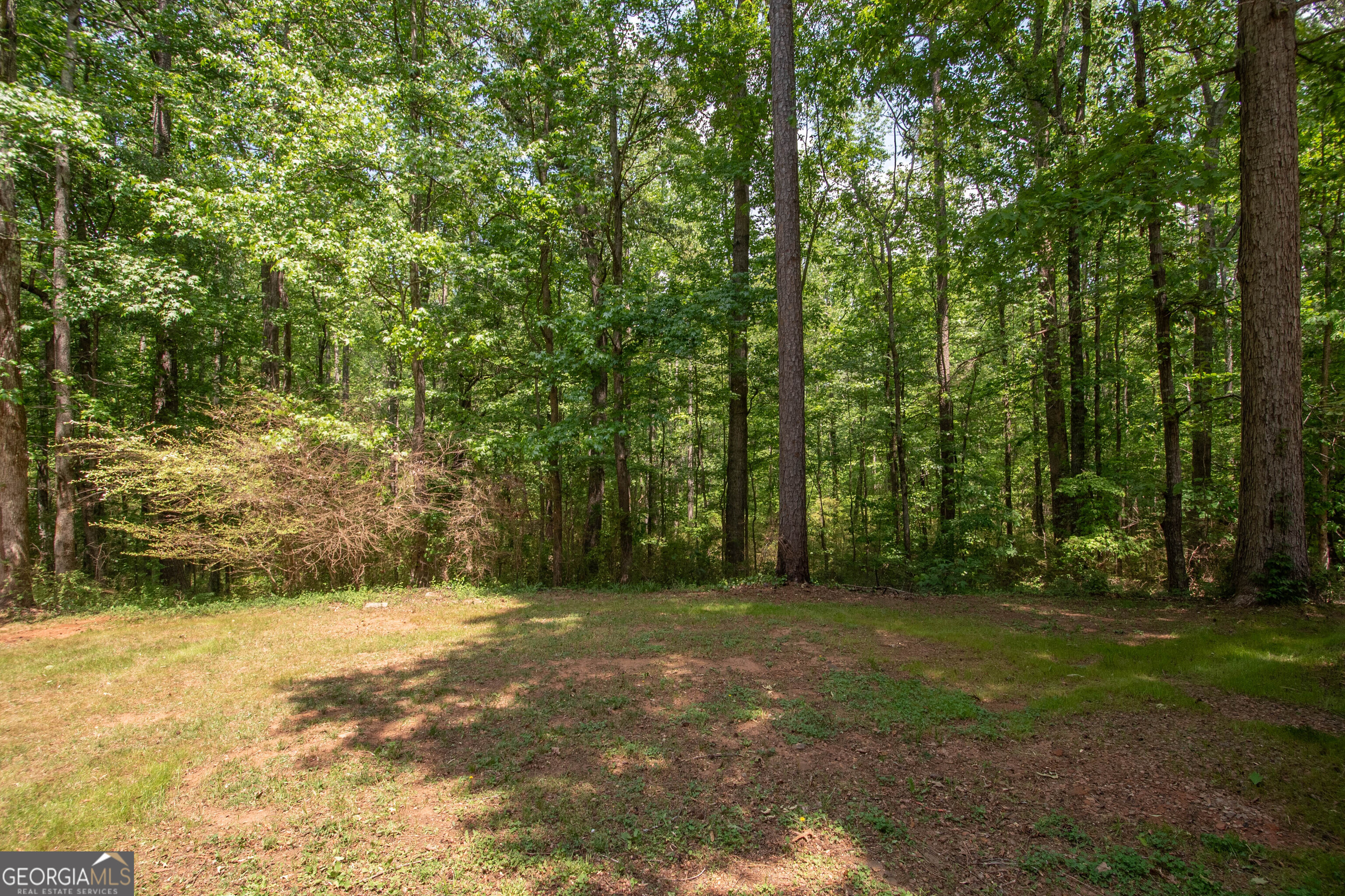 80 Walton Place Drive Newnan GA 30263