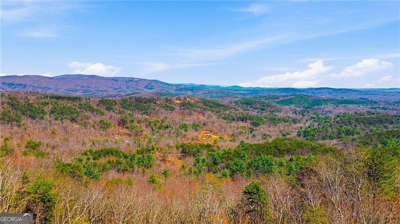 1015 Eagle Ridge Road Dawsonville GA 30534