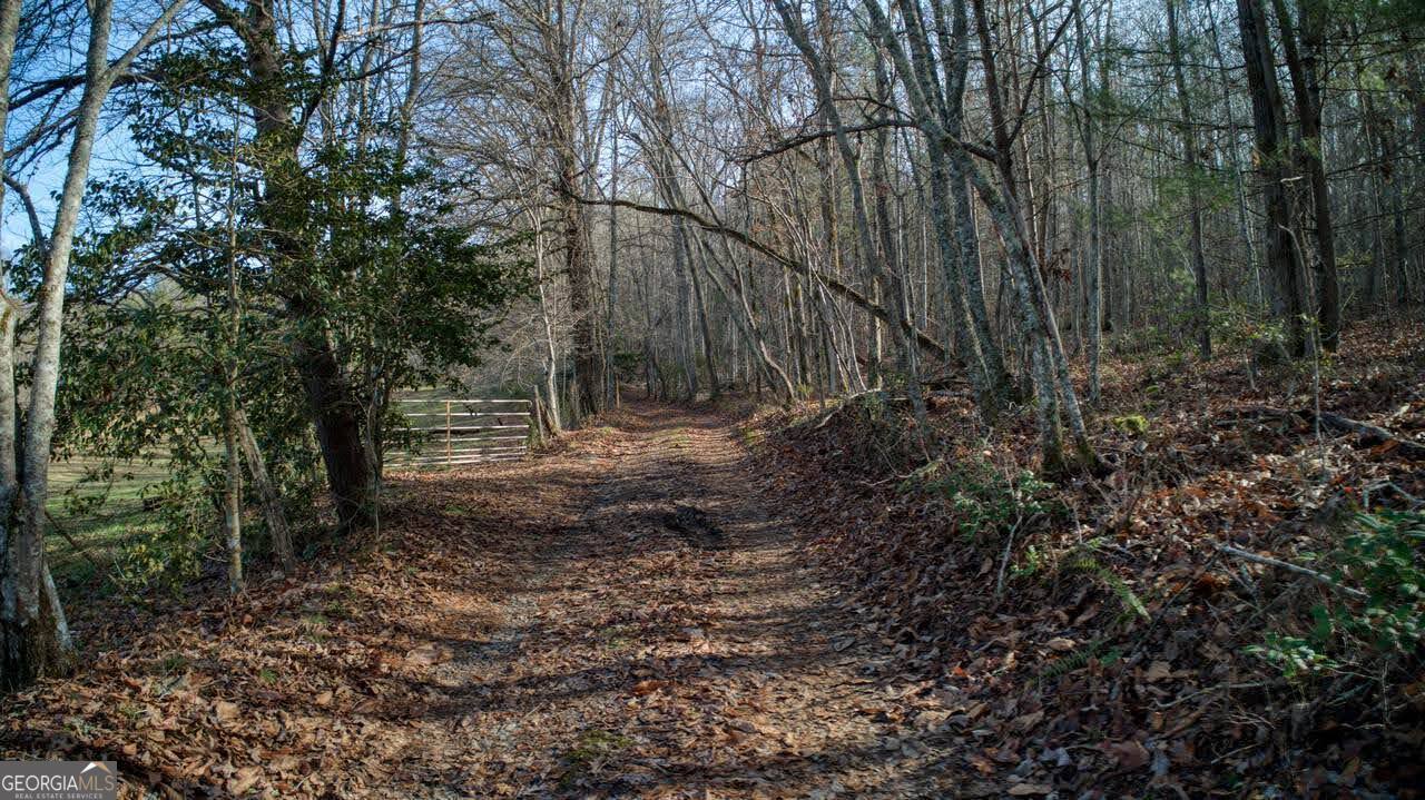 595 Wildlife Trail Morganton GA 30560