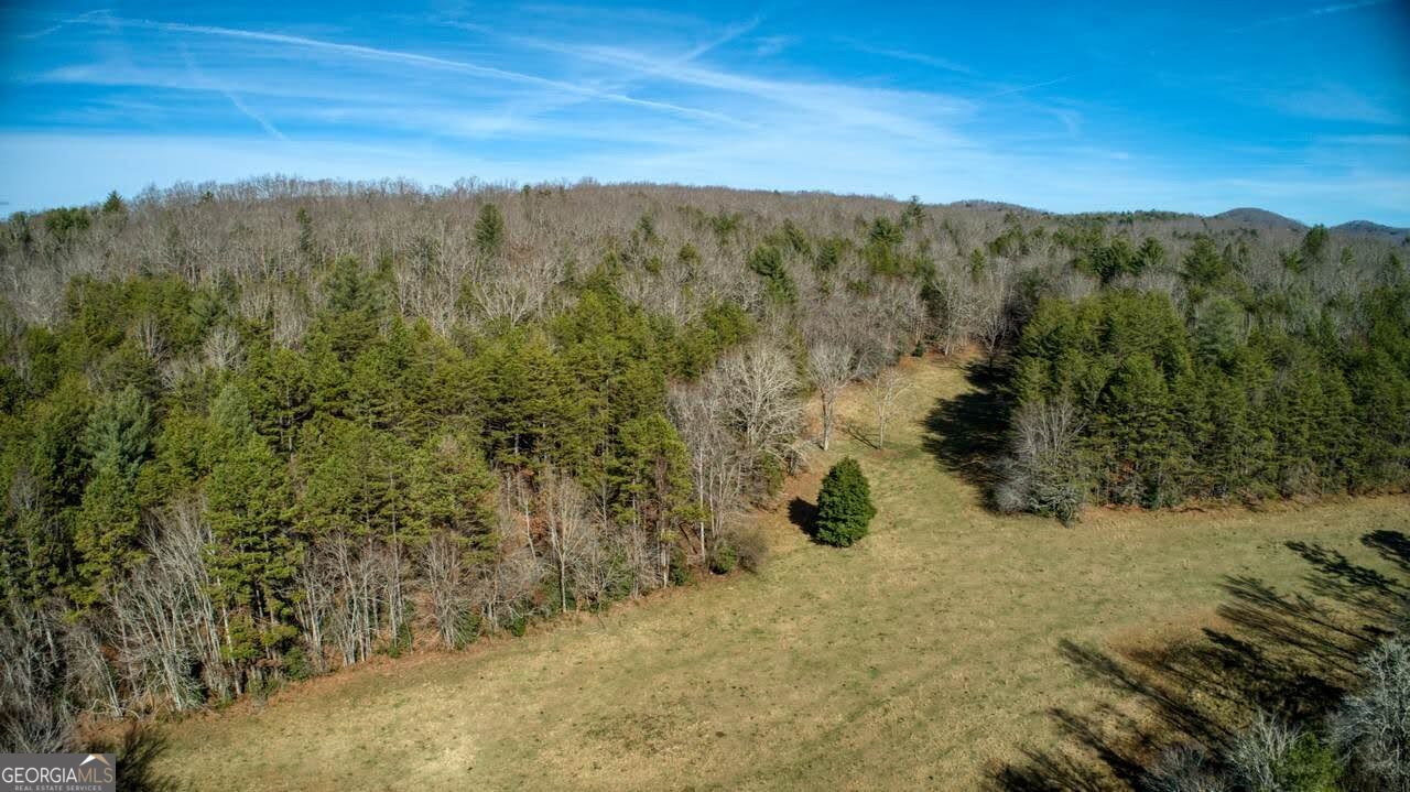 595 Wildlife Trail Morganton GA 30560
