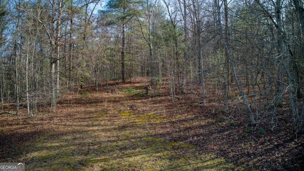 595 Wildlife Trail Morganton GA 30560