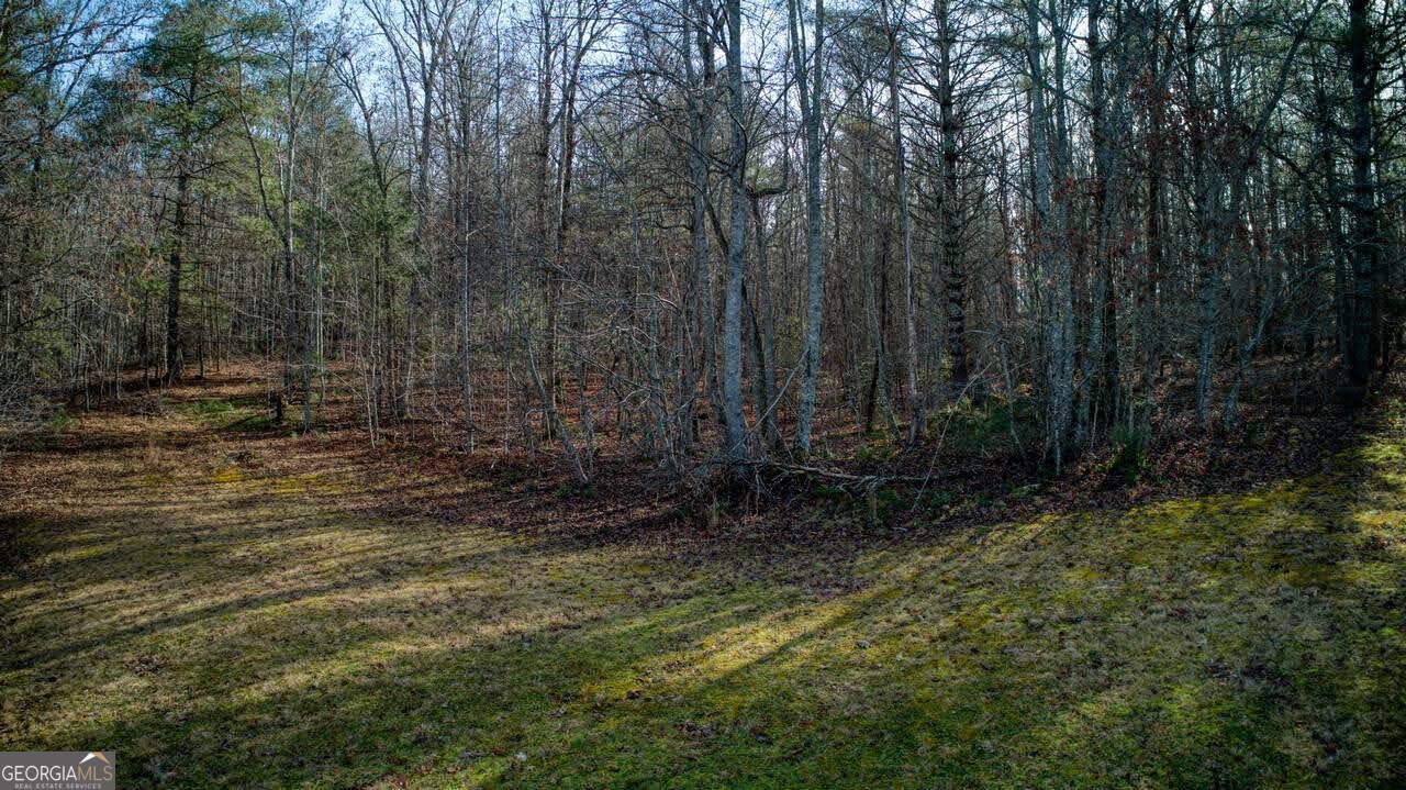 595 Wildlife Trail Morganton GA 30560