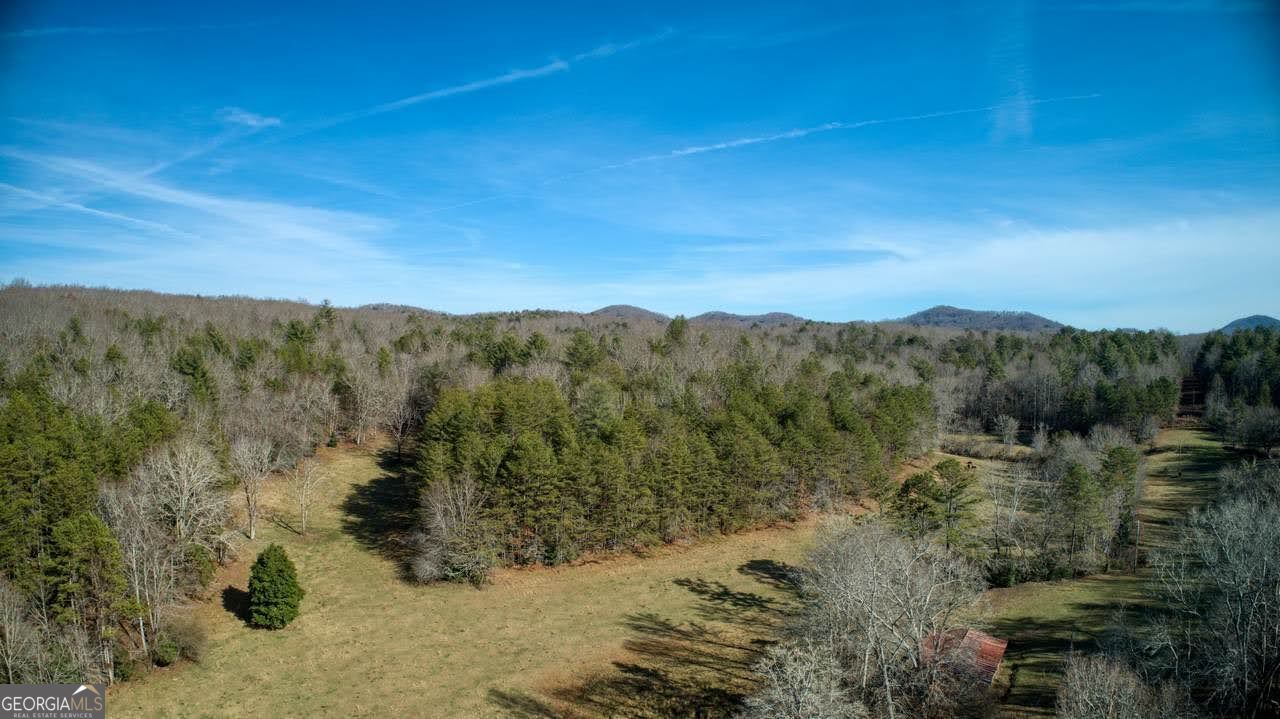 595 Wildlife Trail Morganton GA 30560