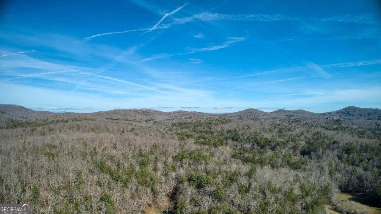 595 Wildlife Trail Morganton GA 30560