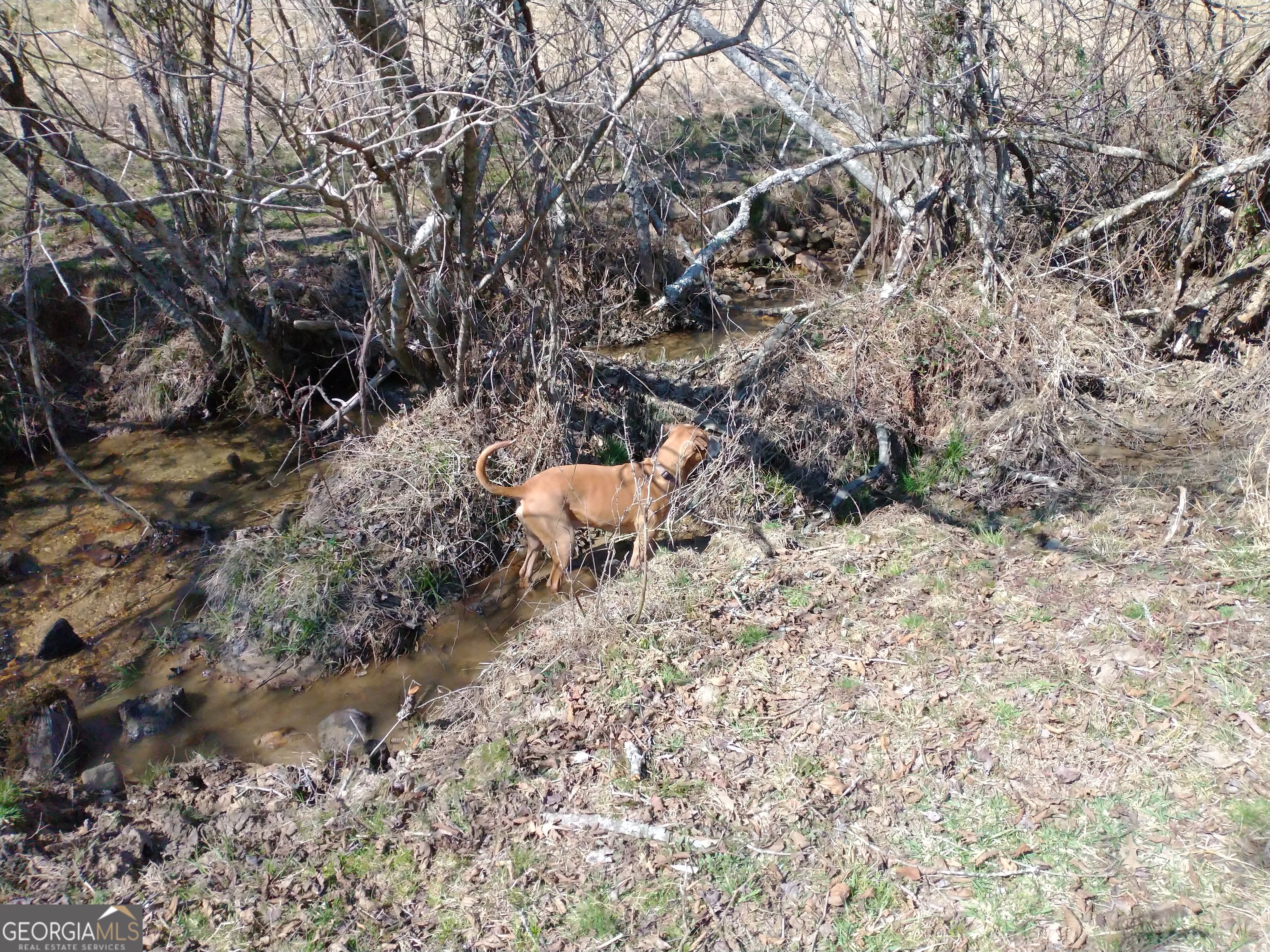 595 Wildlife Trail Morganton GA 30560