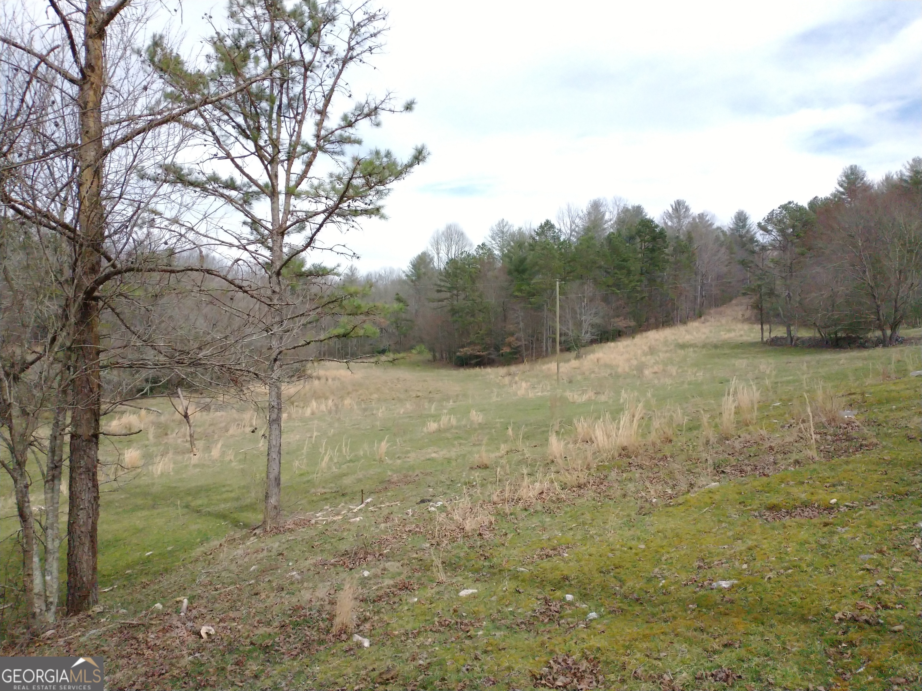595 Wildlife Trail Morganton GA 30560
