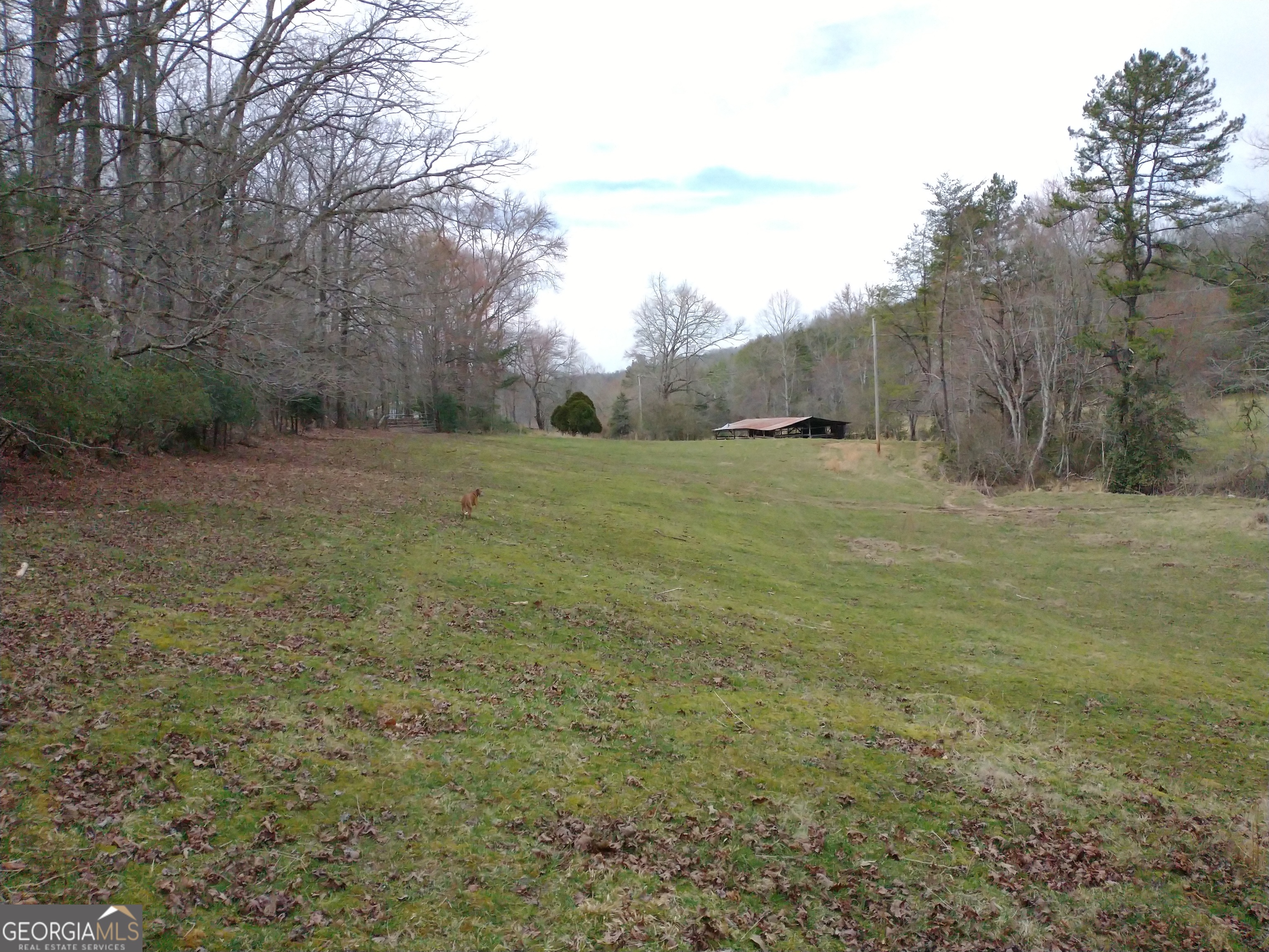 595 Wildlife Trail Morganton GA 30560