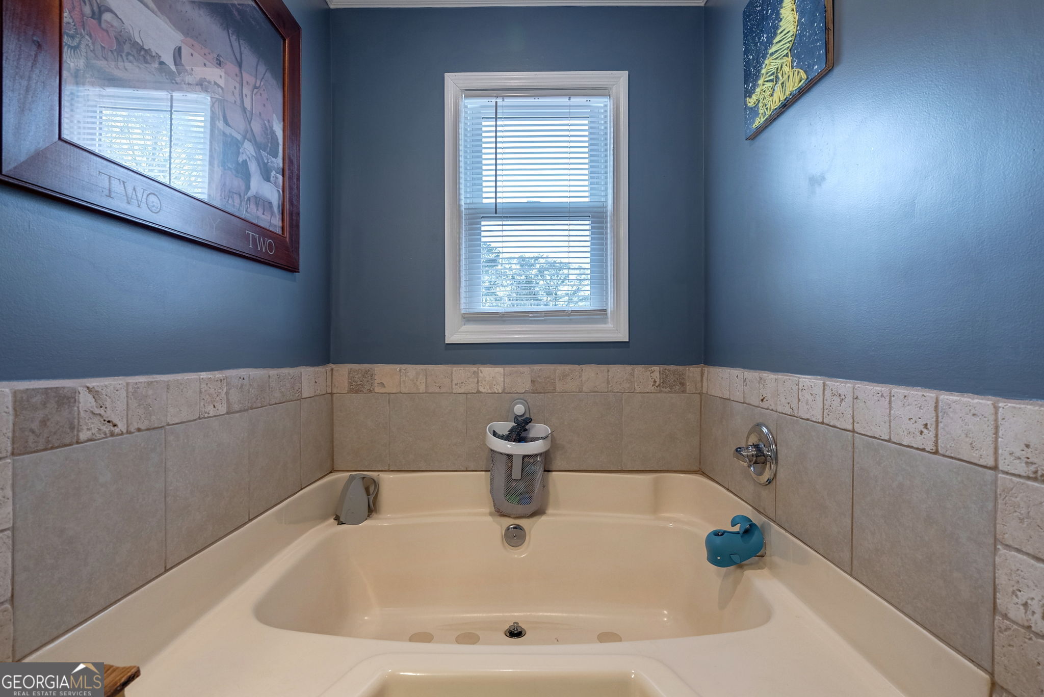 1366 Dove Drake Road Royston GA 30662