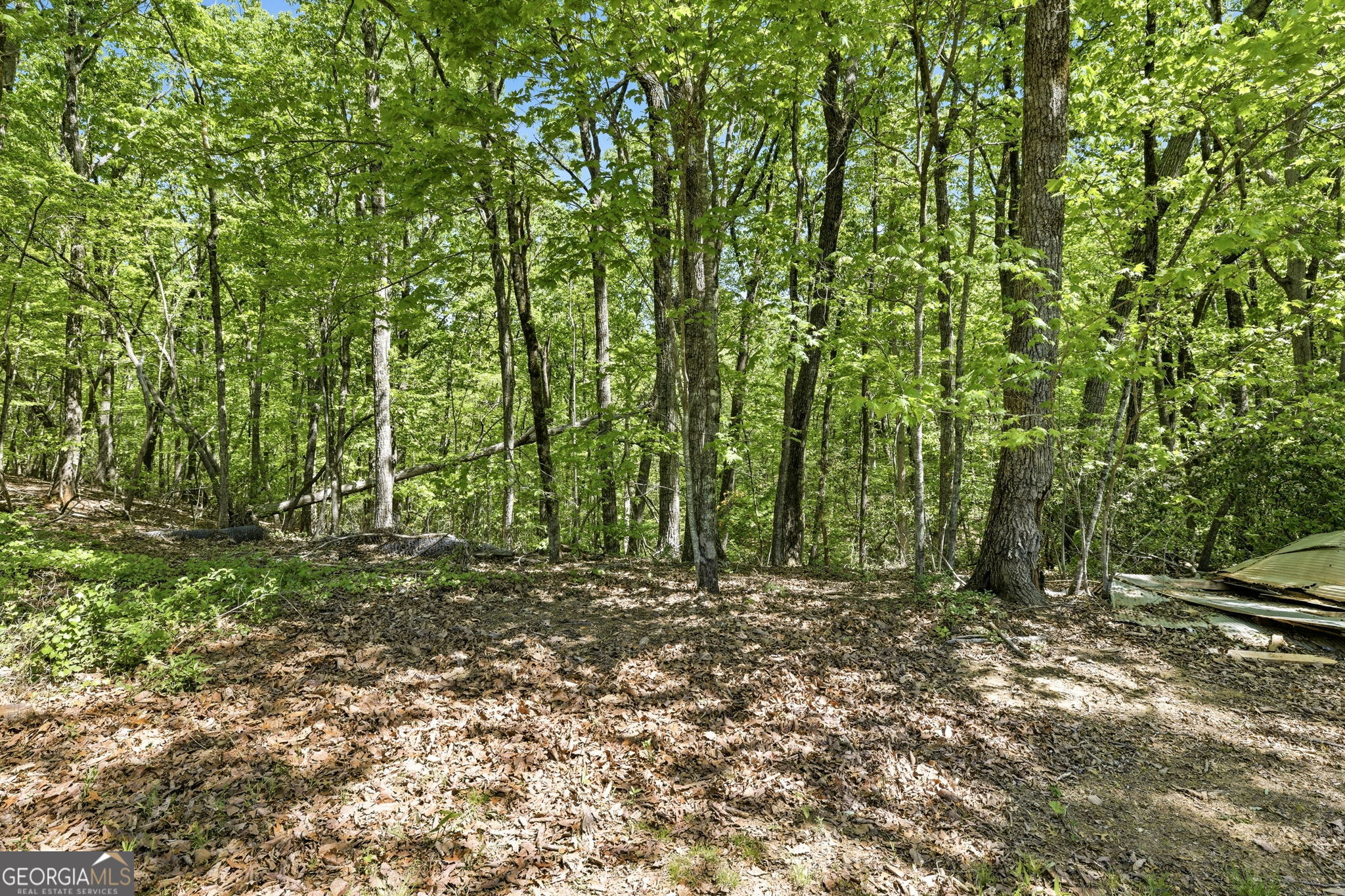 523 Mountain Ranch Road Clarkesville GA 30523