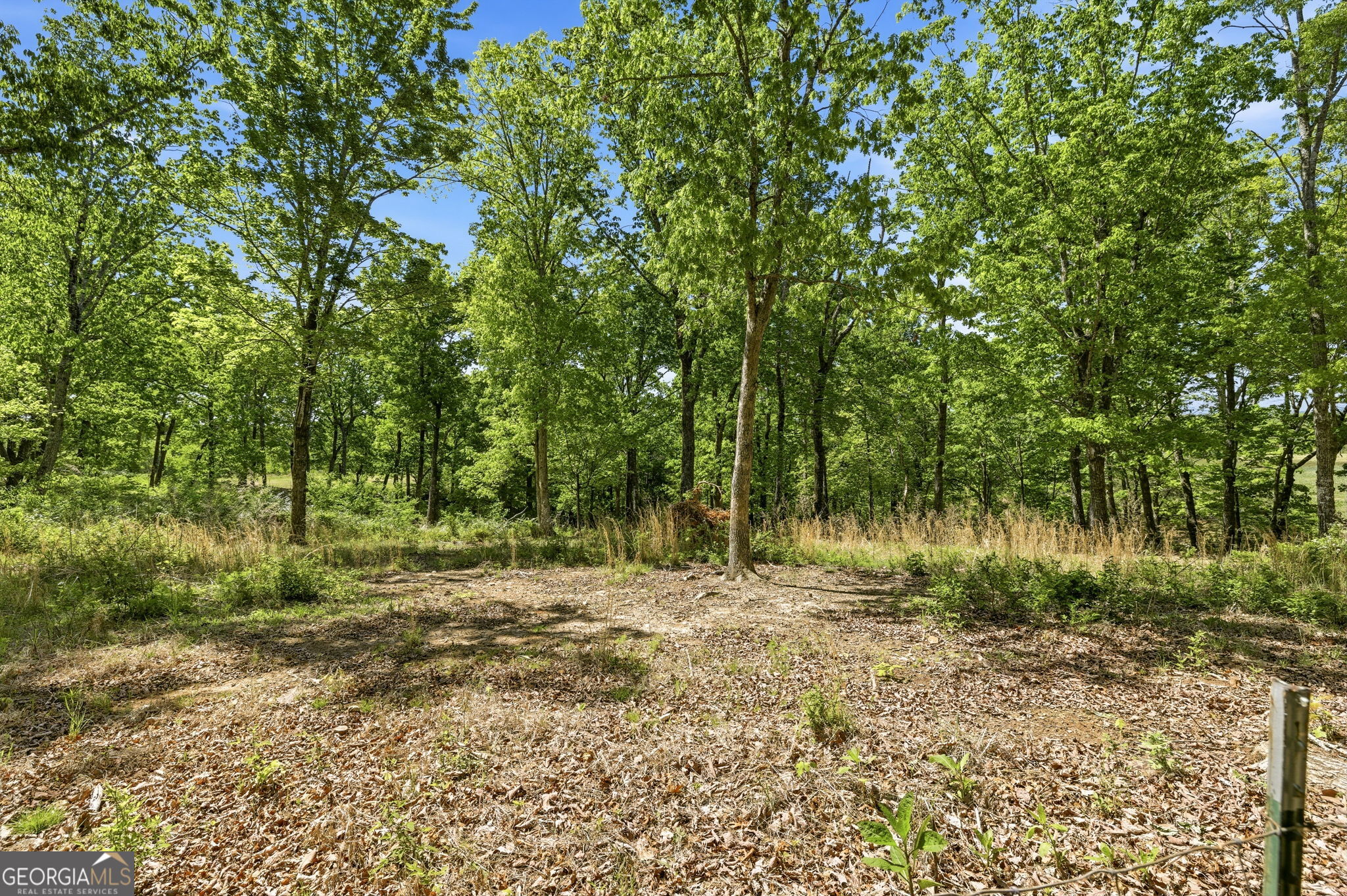 523 Mountain Ranch Road Clarkesville GA 30523