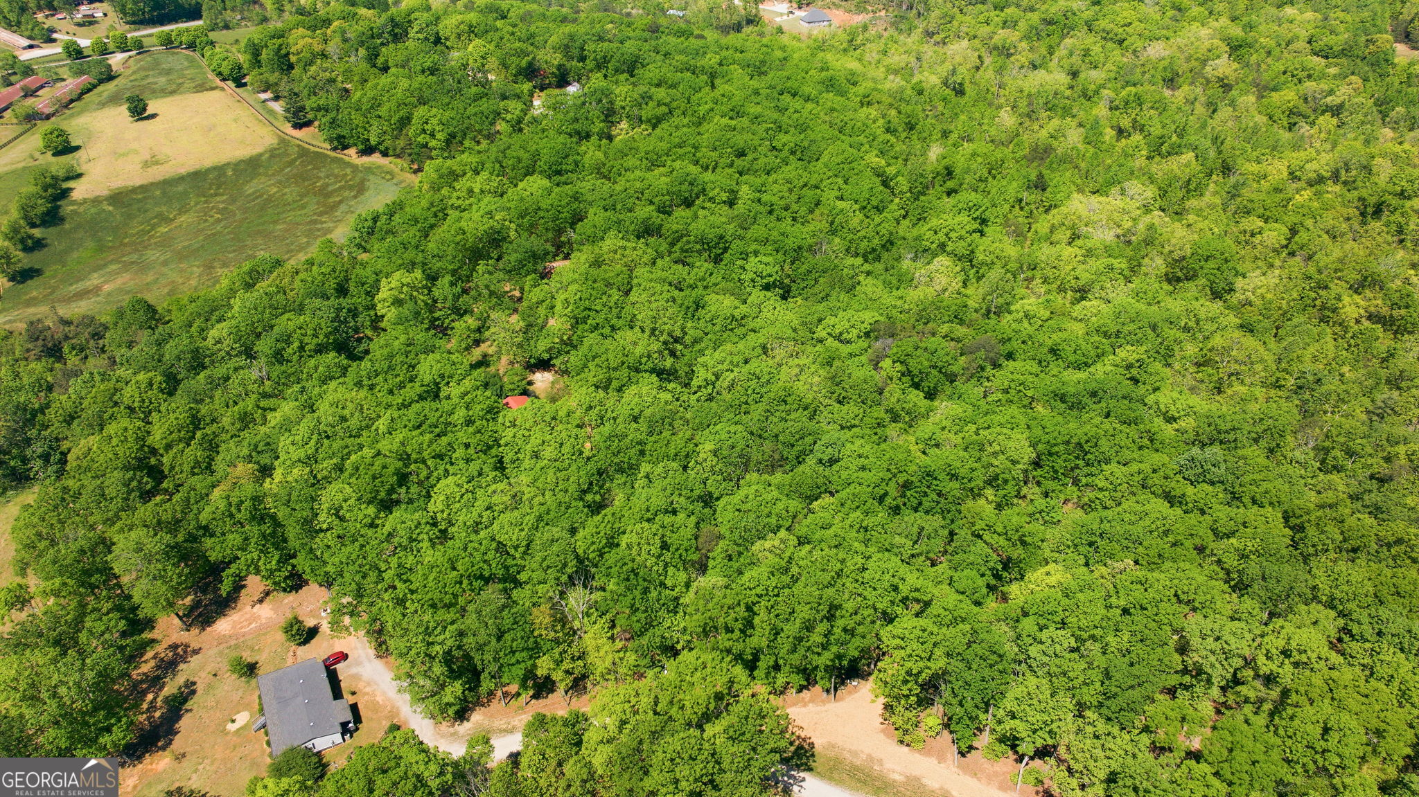 523 Mountain Ranch Road Clarkesville GA 30523