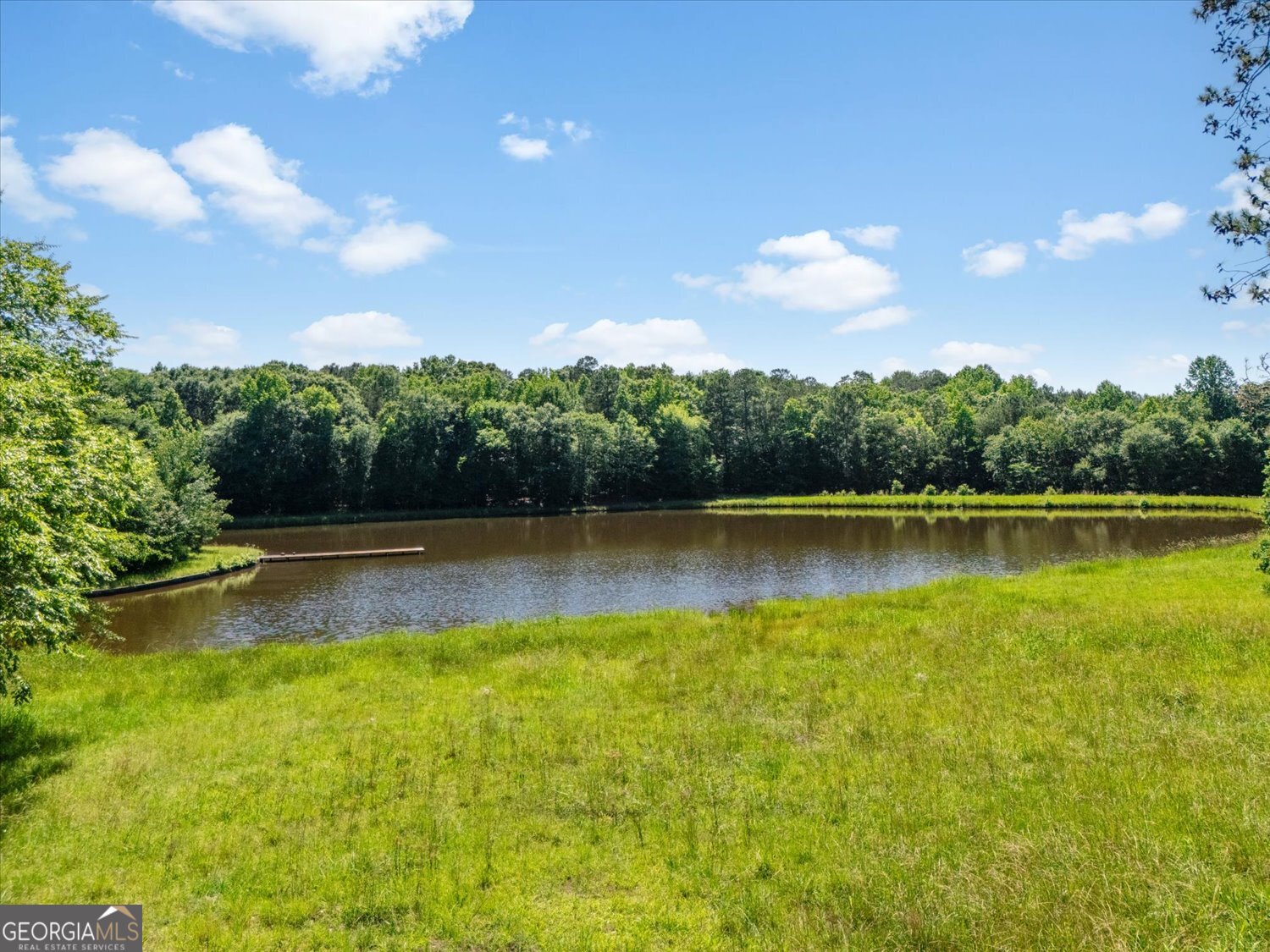 277 N Hulin Avenue Tignall GA 30668