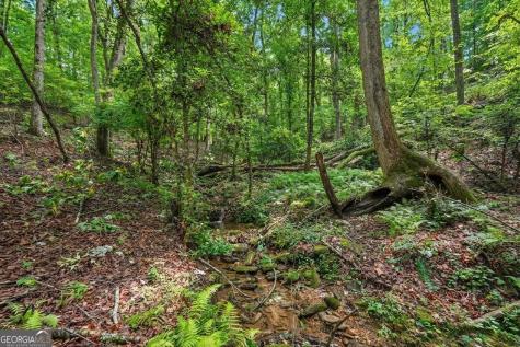 433 Elliots Lane Dahlonega GA 30533