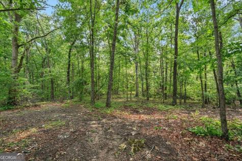 433 Elliots Lane Dahlonega GA 30533