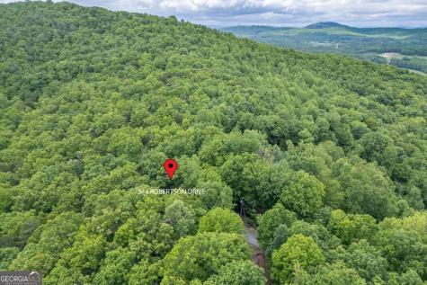 344 Robertson Drive Blairsville GA 30512