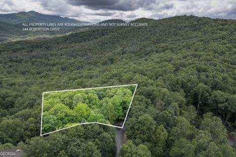 344 Robertson Drive Blairsville GA 30512