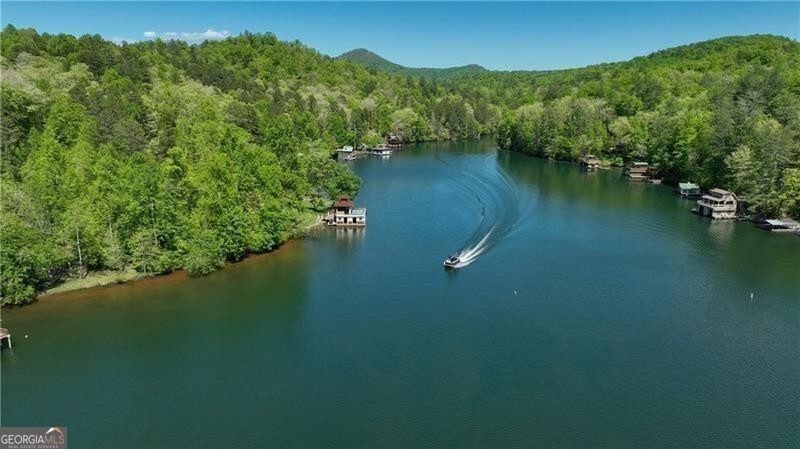 130 Cove View Lane Clarkesville GA 30523