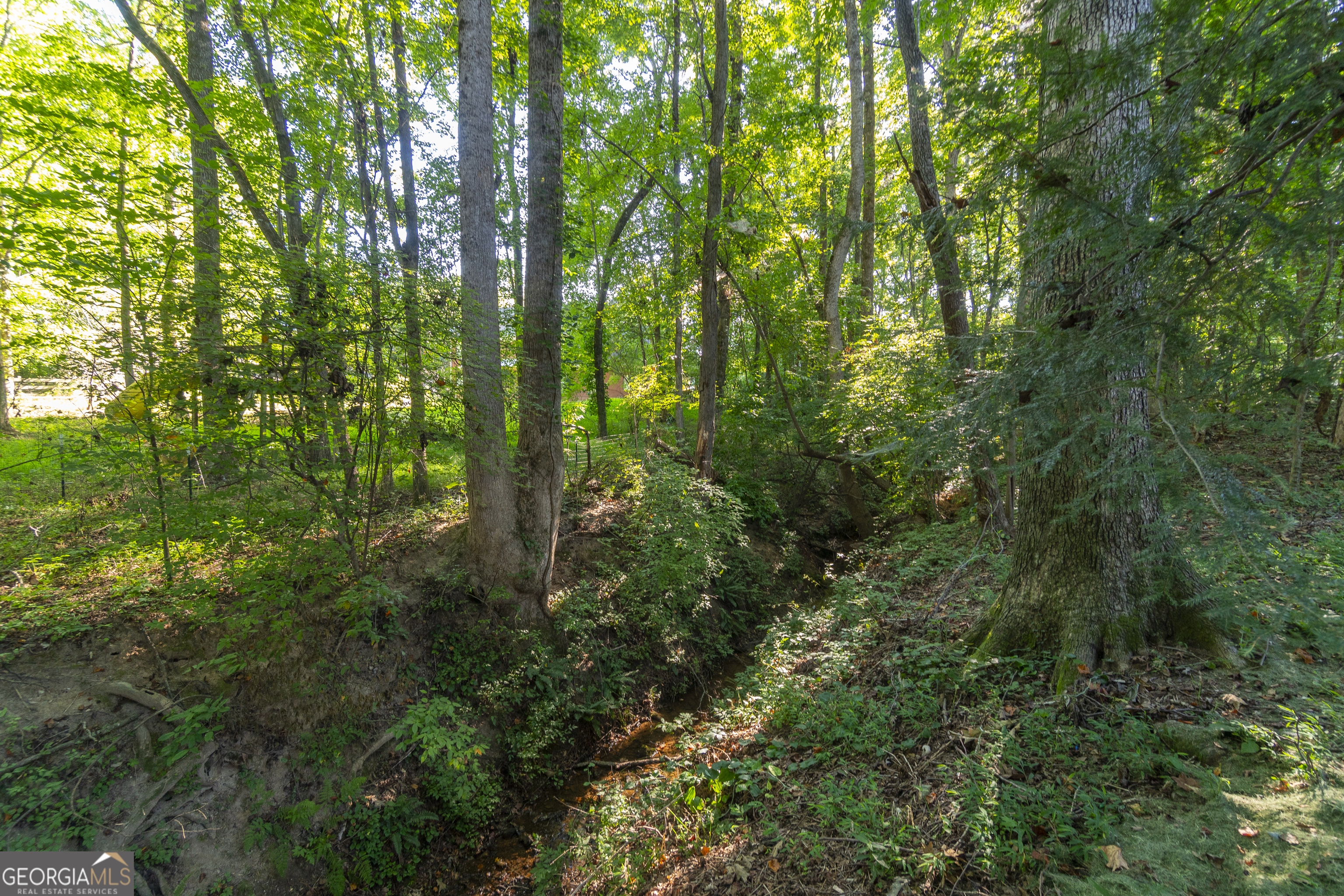 102 Trent Trail Cleveland GA 30528