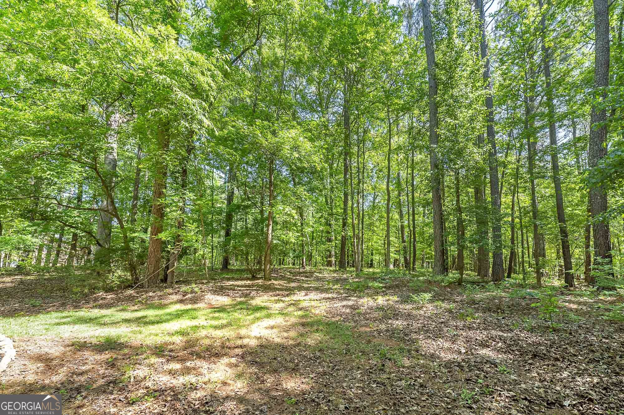 75 Allie Drive Mcdonough GA 30252