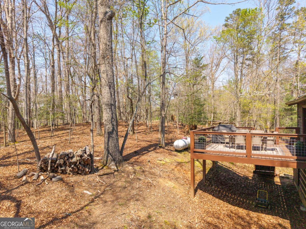 33 Foxhound Drive Ellijay GA 30540