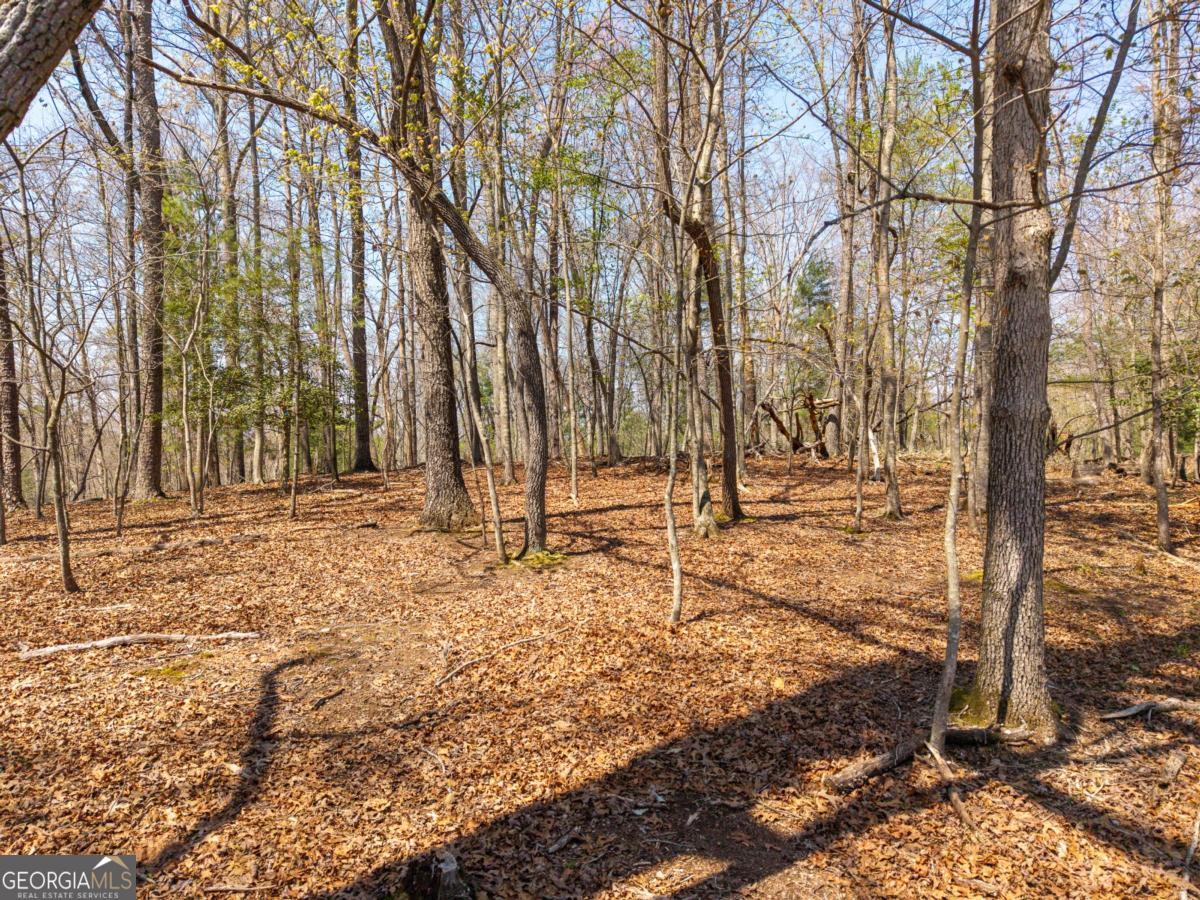 33 Foxhound Drive Ellijay GA 30540