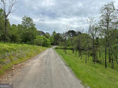 247 Loganberry Lane Hayesville NC 28904