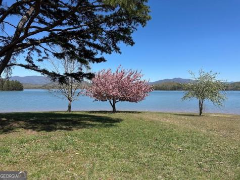 247 Loganberry Lane Hayesville NC 28904