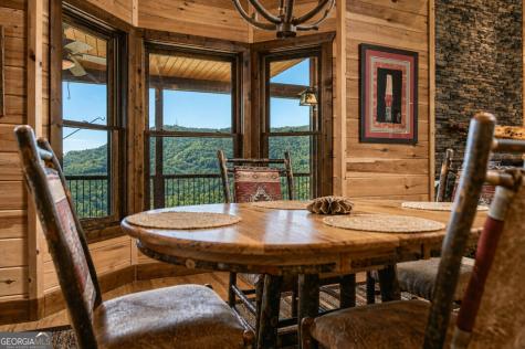 215 Snake Nation Overlook Blue Ridge GA 30513