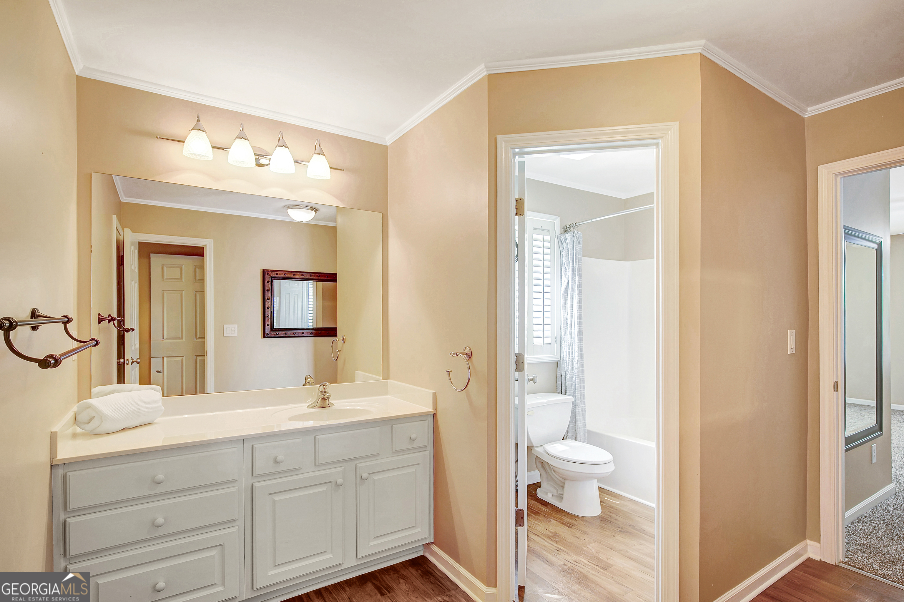253 Independence Lane Peachtree City GA 30269