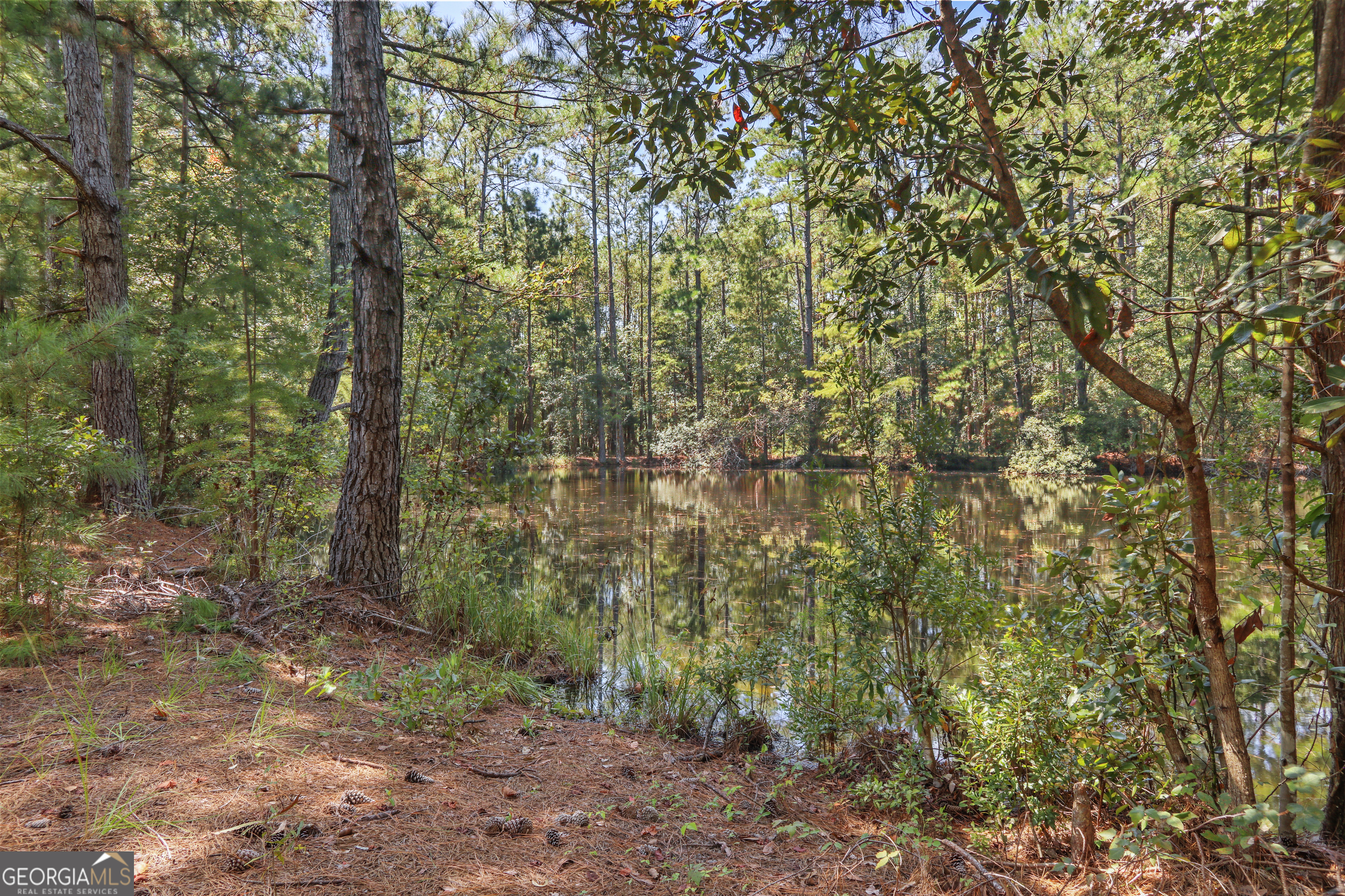 694 Overstreet Road Jesup GA 31546