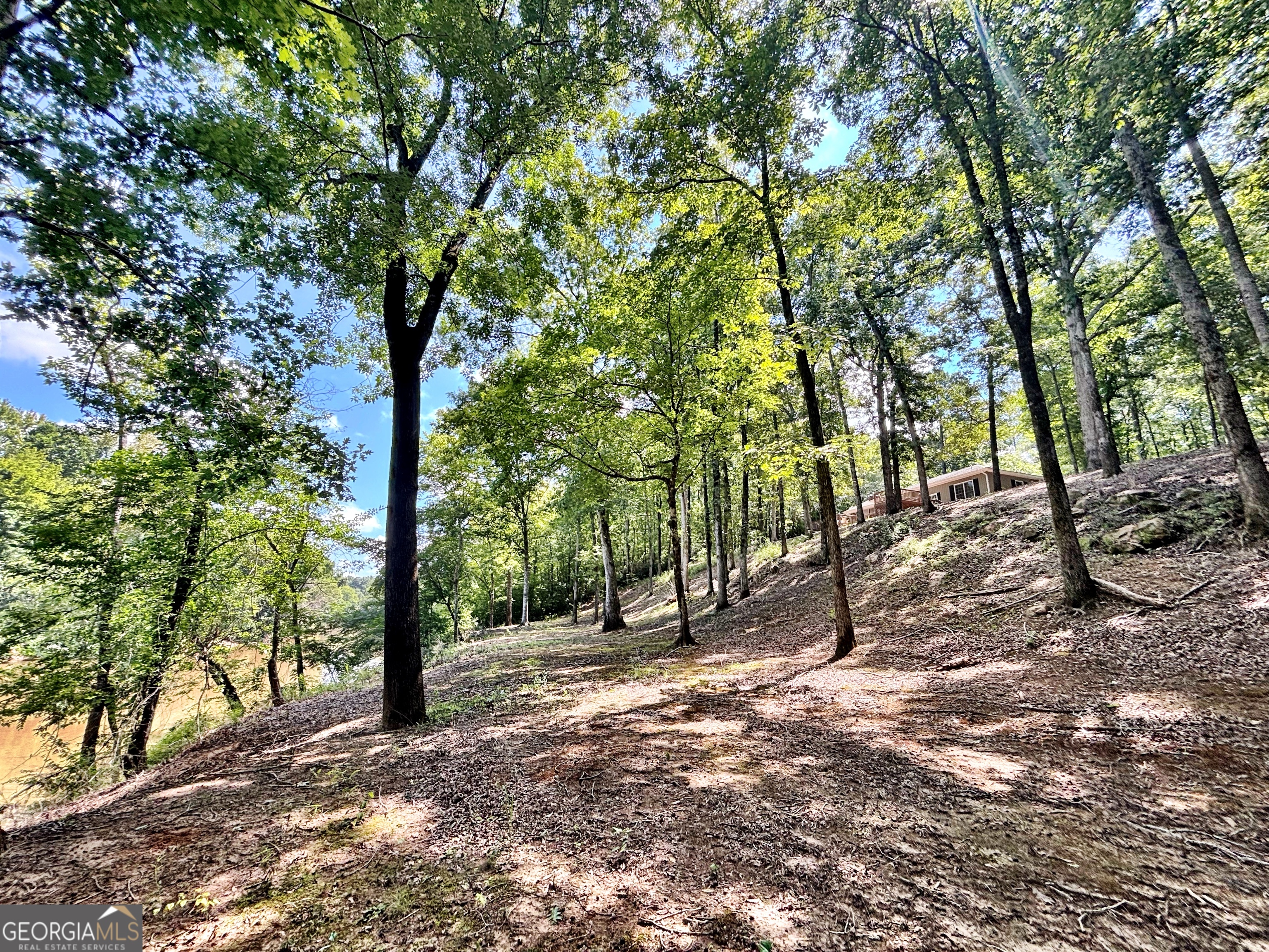 8502 S 19 Highway Culloden GA 31016