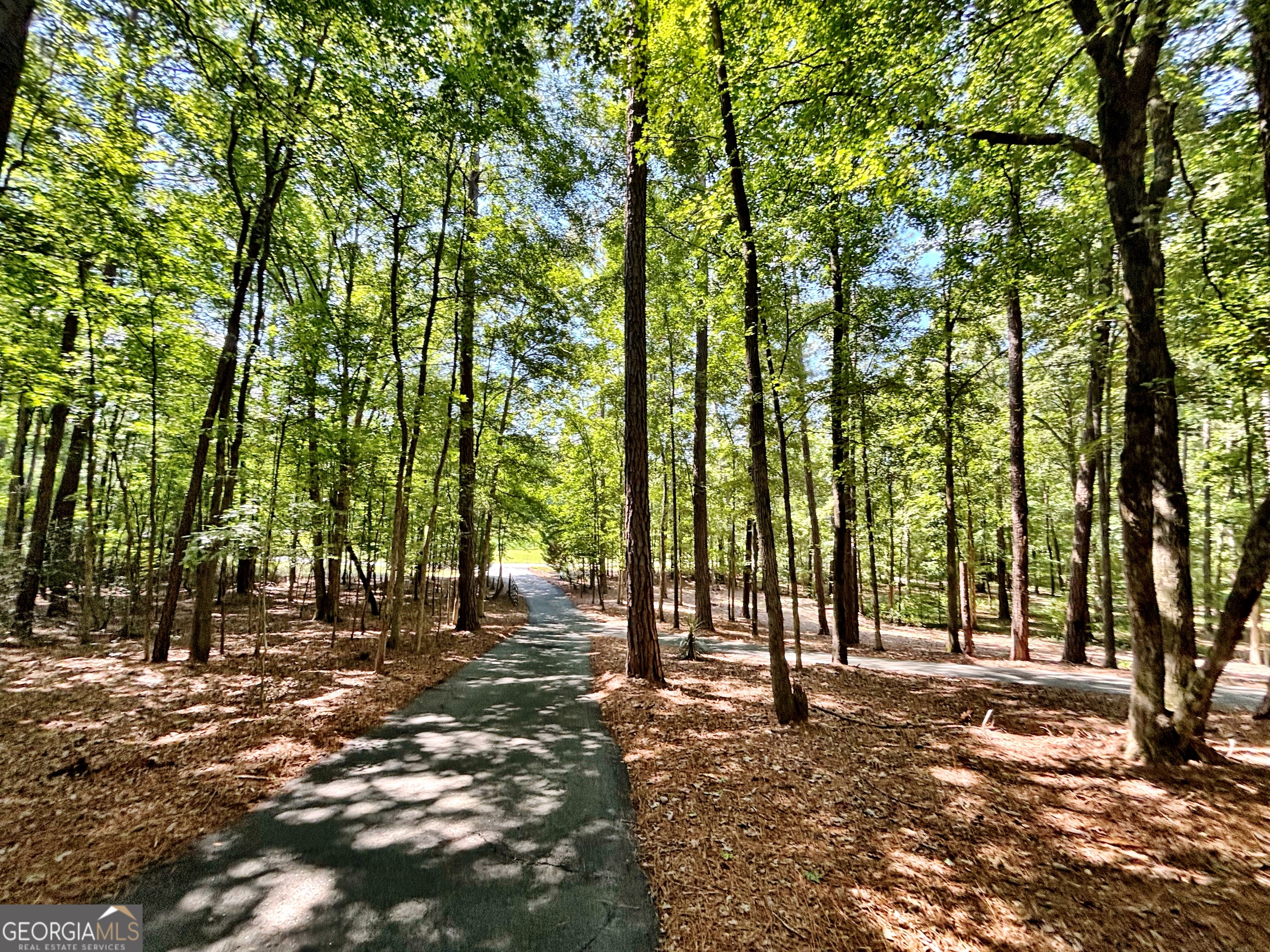 8502 S 19 Highway Culloden GA 31016