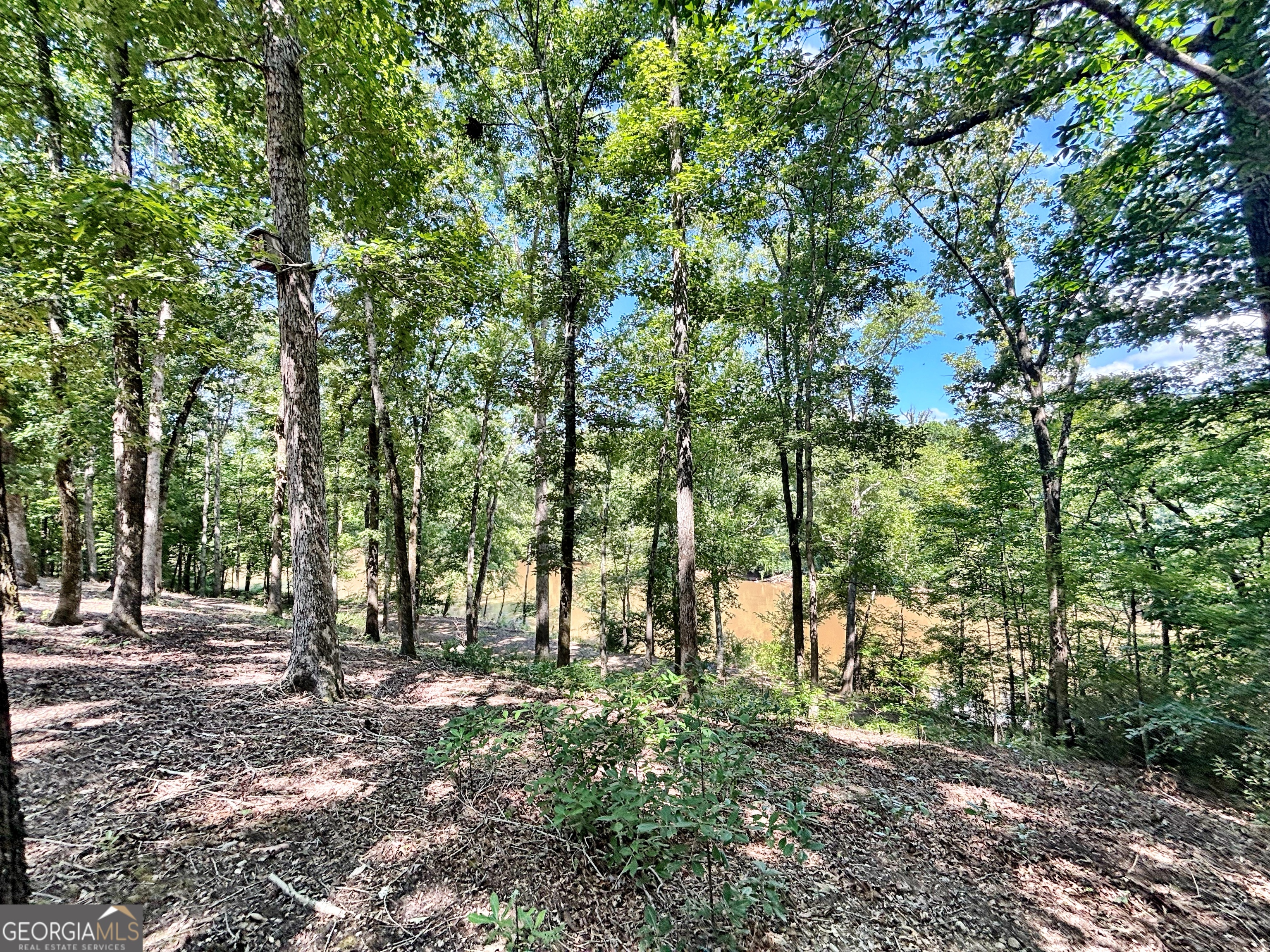8502 S 19 Highway Culloden GA 31016