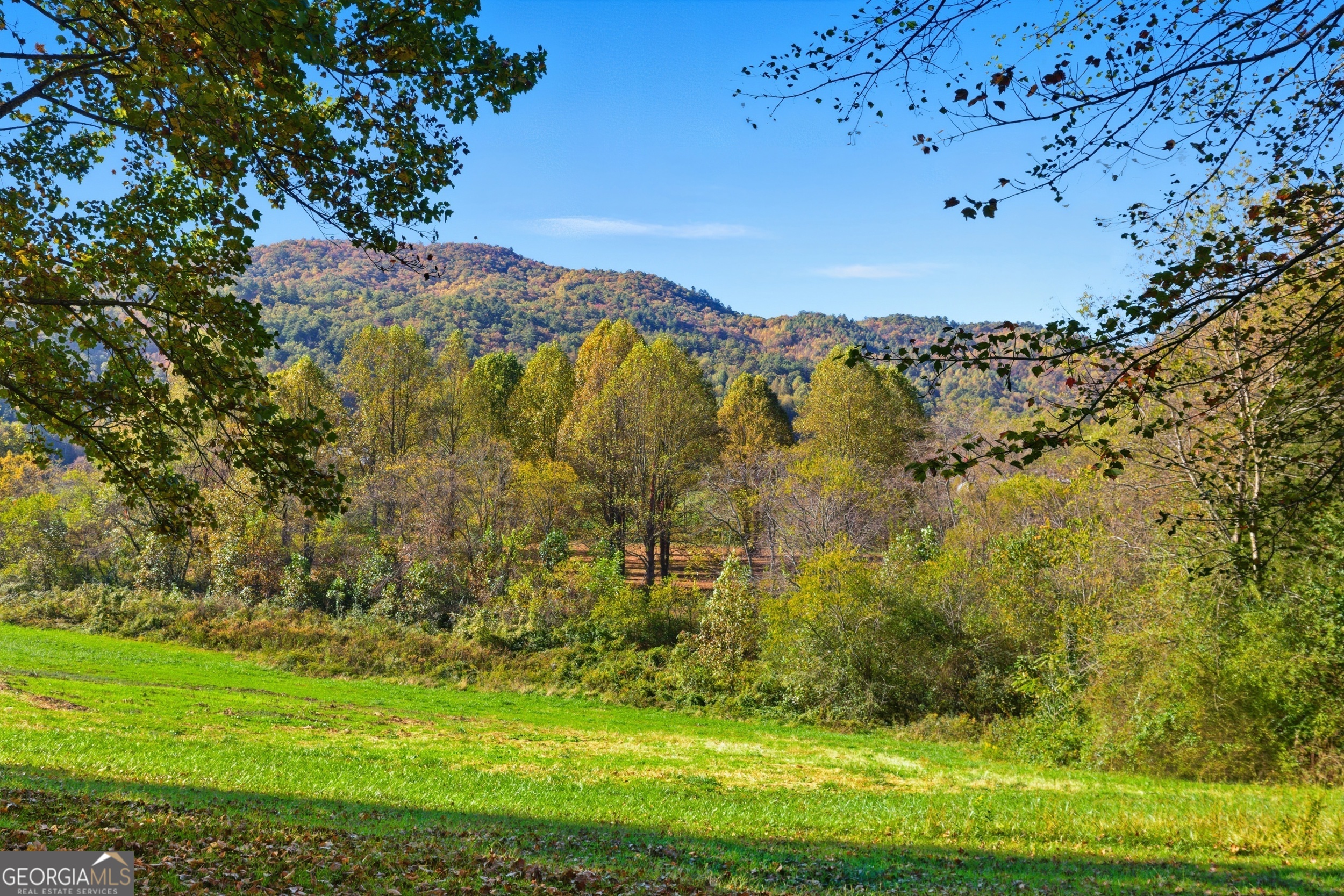230 Majors Lane Rabun Gap GA 30568