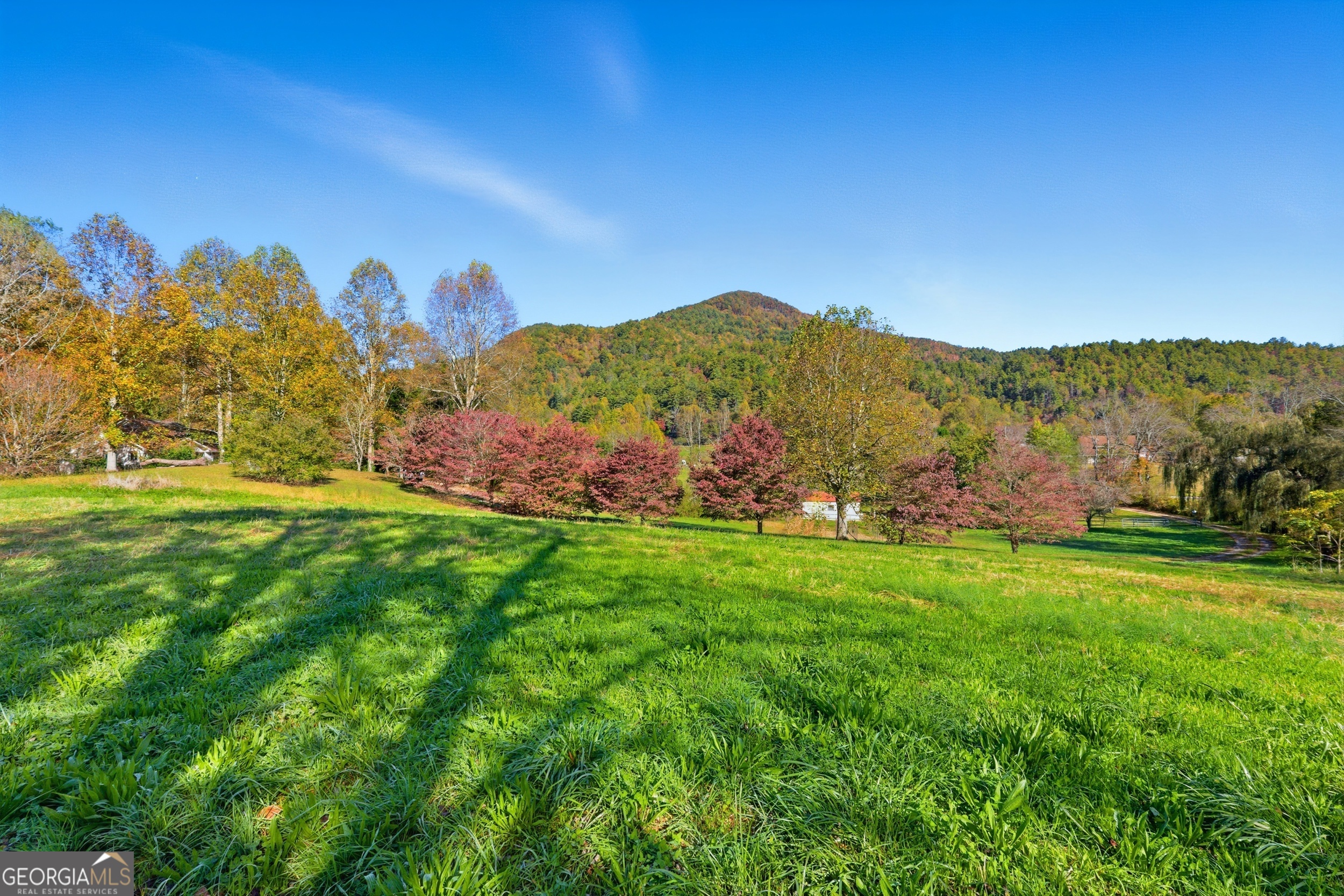 230 Majors Lane Rabun Gap GA 30568