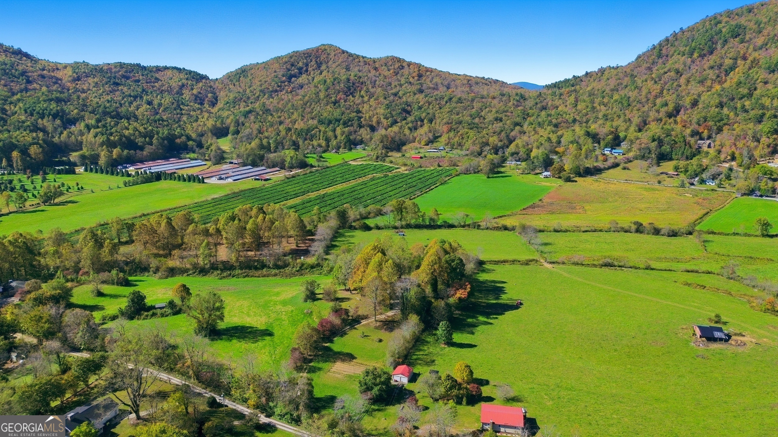230 Majors Lane Rabun Gap GA 30568
