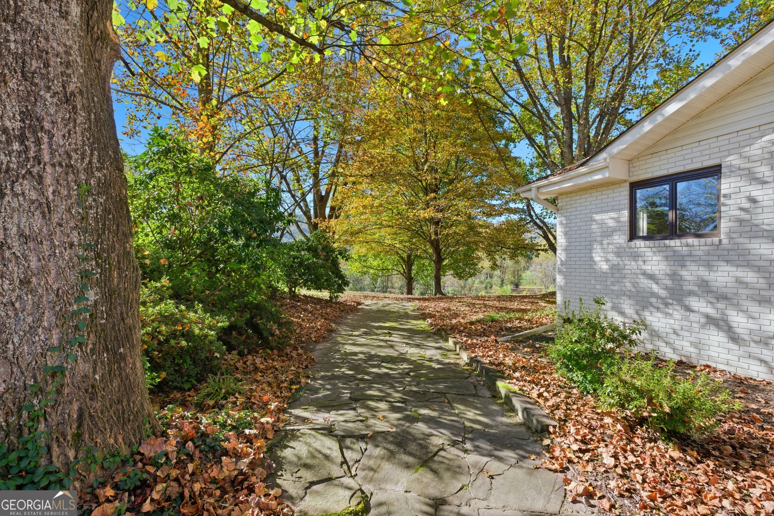230 Majors Lane Rabun Gap GA 30568