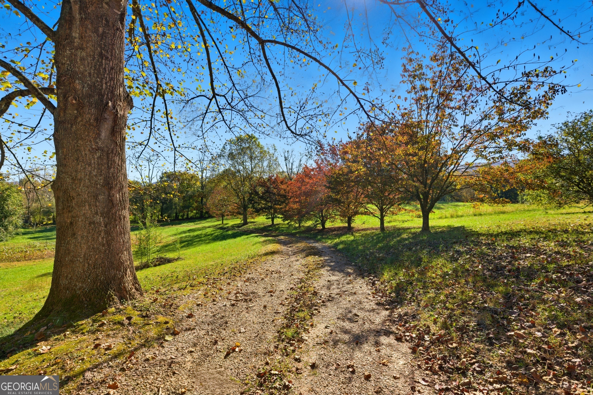 230 Majors Lane Rabun Gap GA 30568