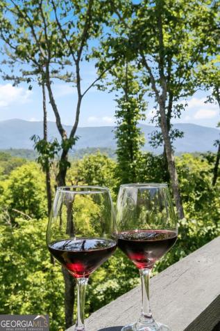 254 Leatherwood Mountain Road Ellijay GA 30540