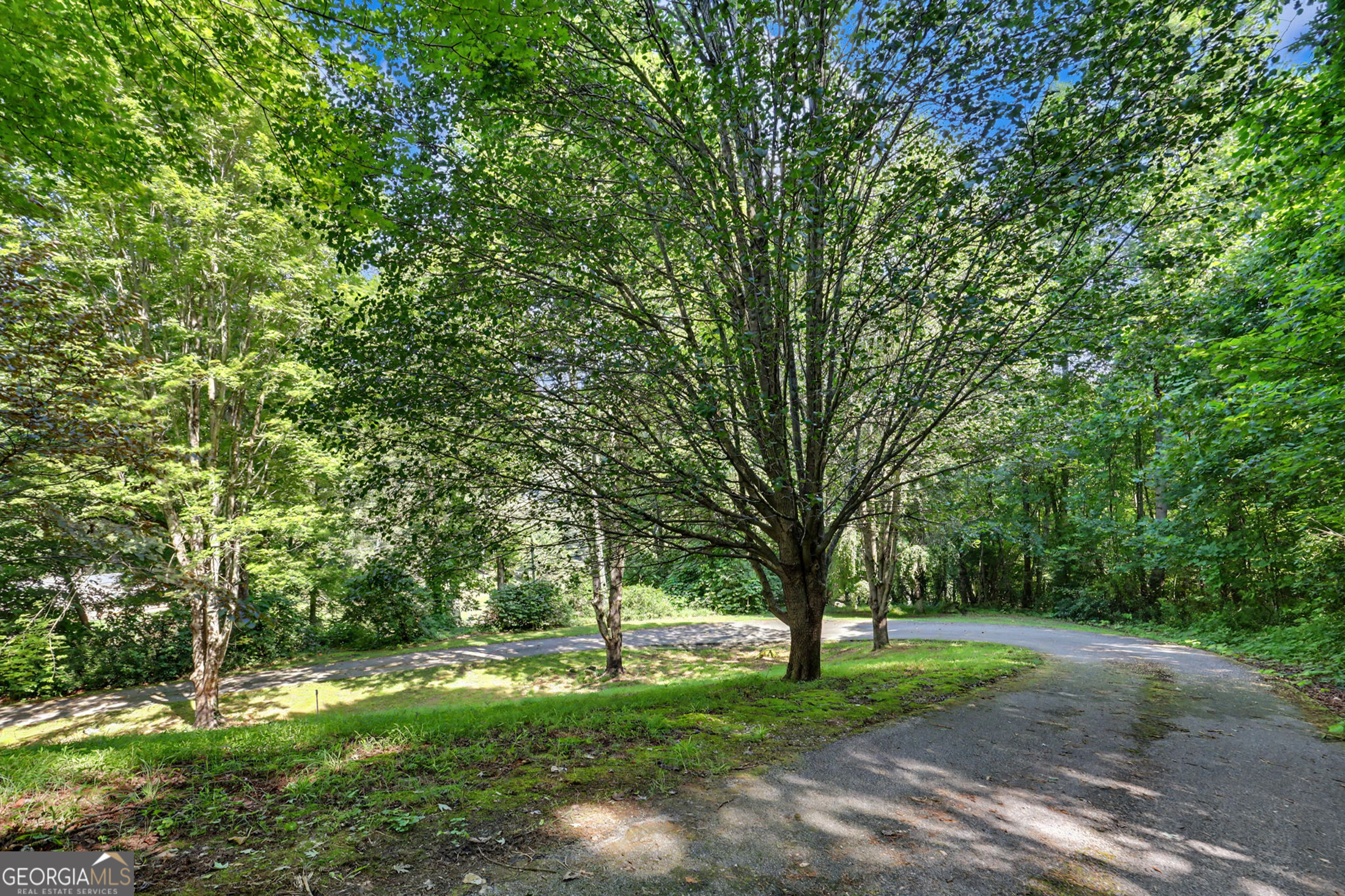 54 Esco Circle Rabun Gap GA 30568