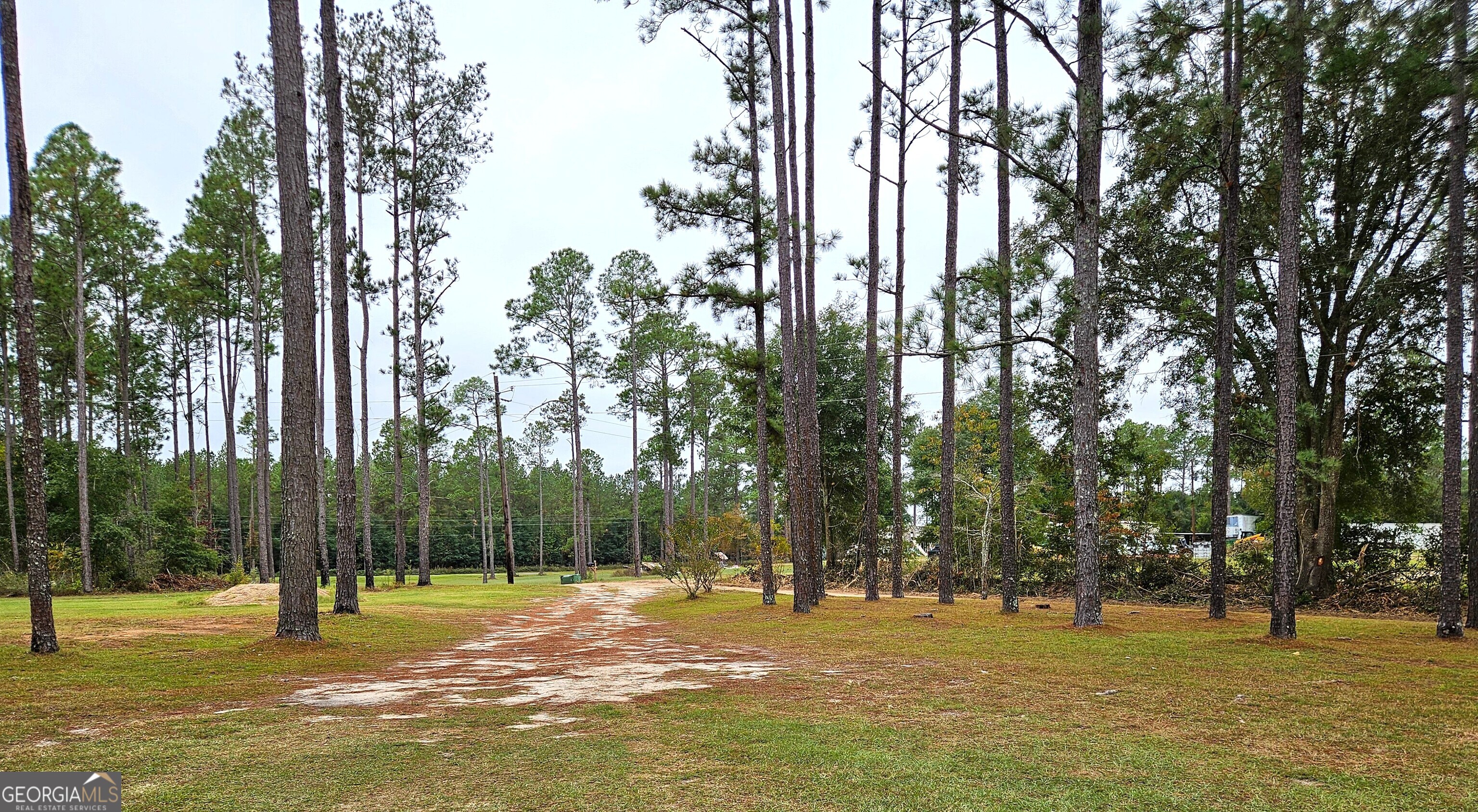 290 Long Road Bainbridge GA 39817