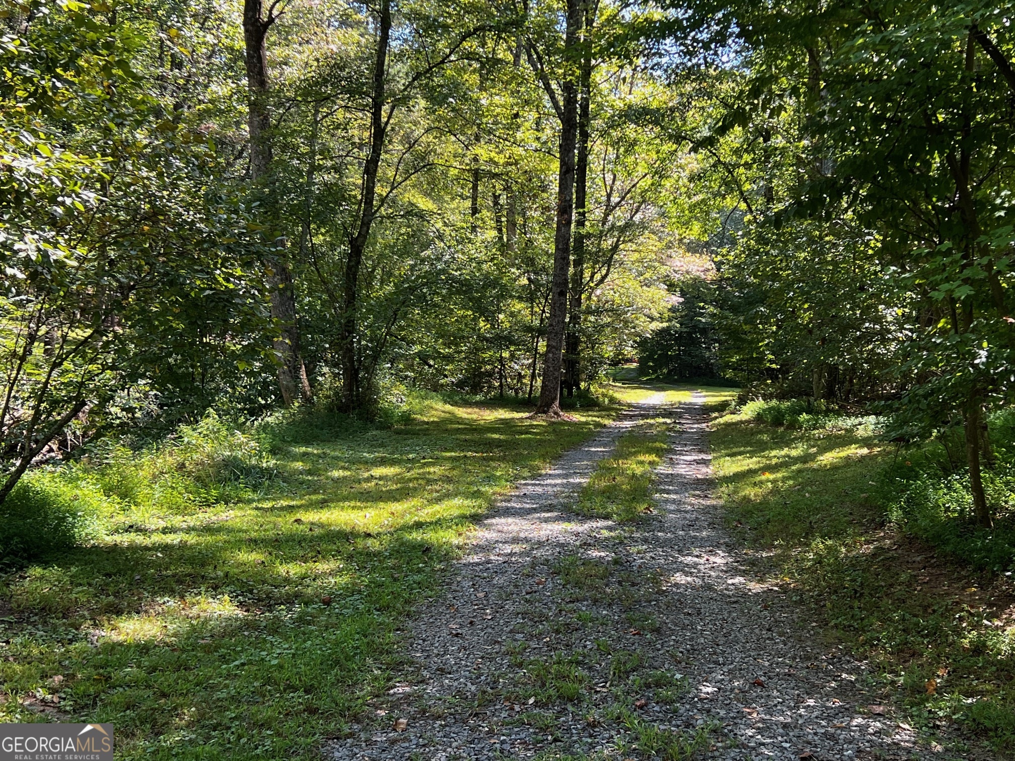 1319 Henry Evans Road Ellijay GA 30536